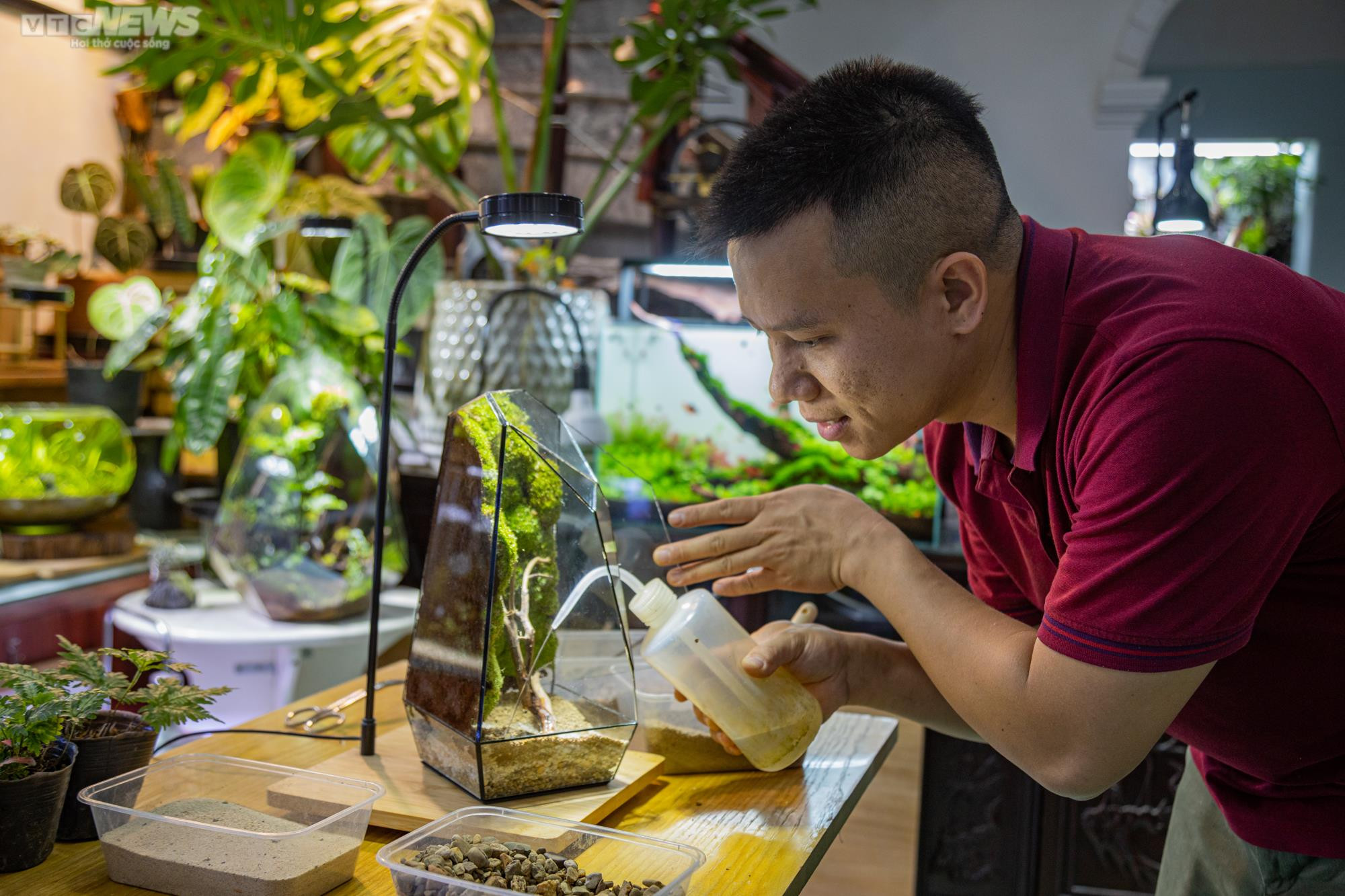 Chàng trai 9X kiếm trăm triệu mỗi tháng từ thú chơi 'lồng kính xanh' - 8