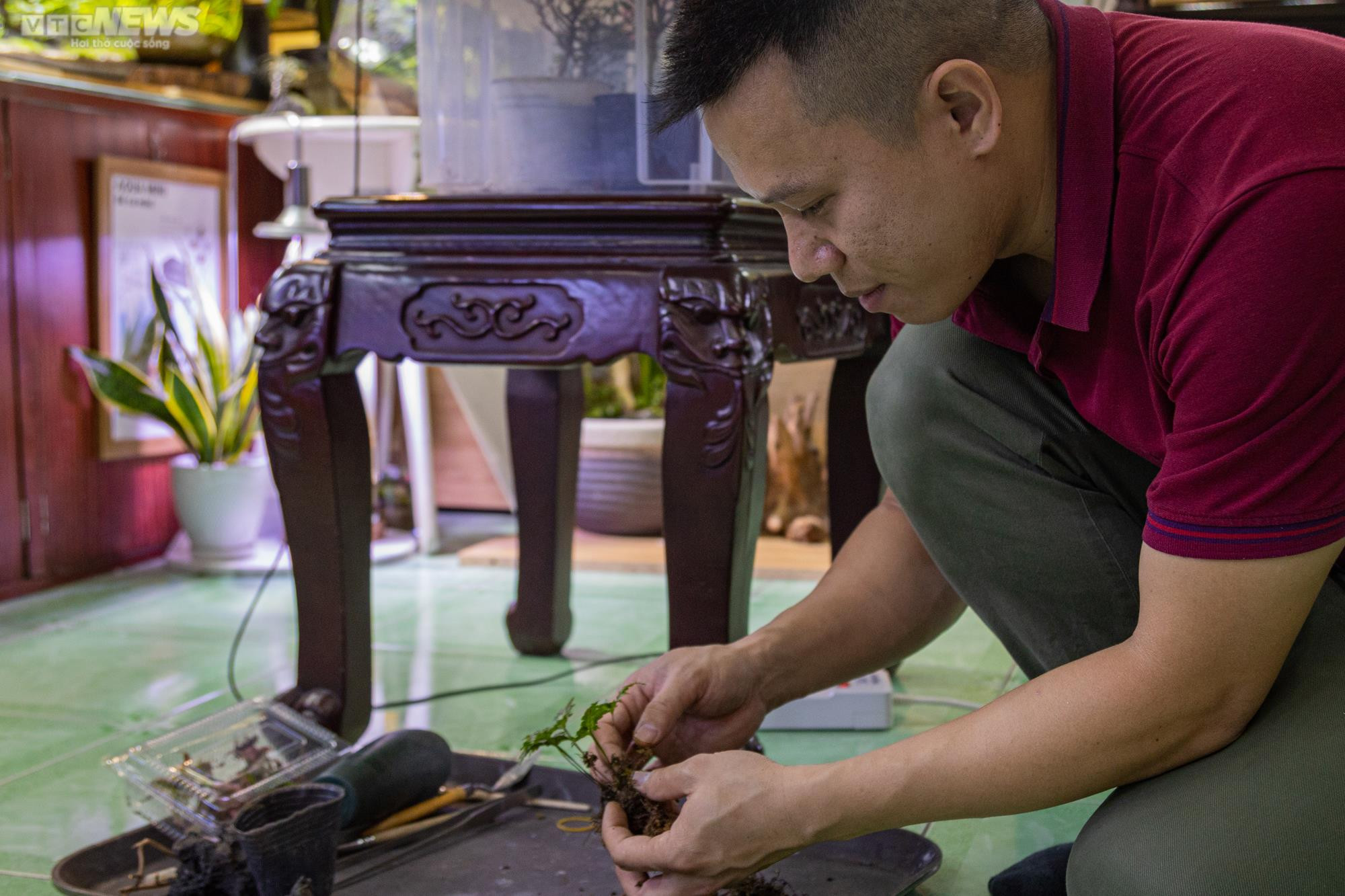 Chàng trai 9X kiếm trăm triệu mỗi tháng từ thú chơi 'lồng kính xanh' - 9