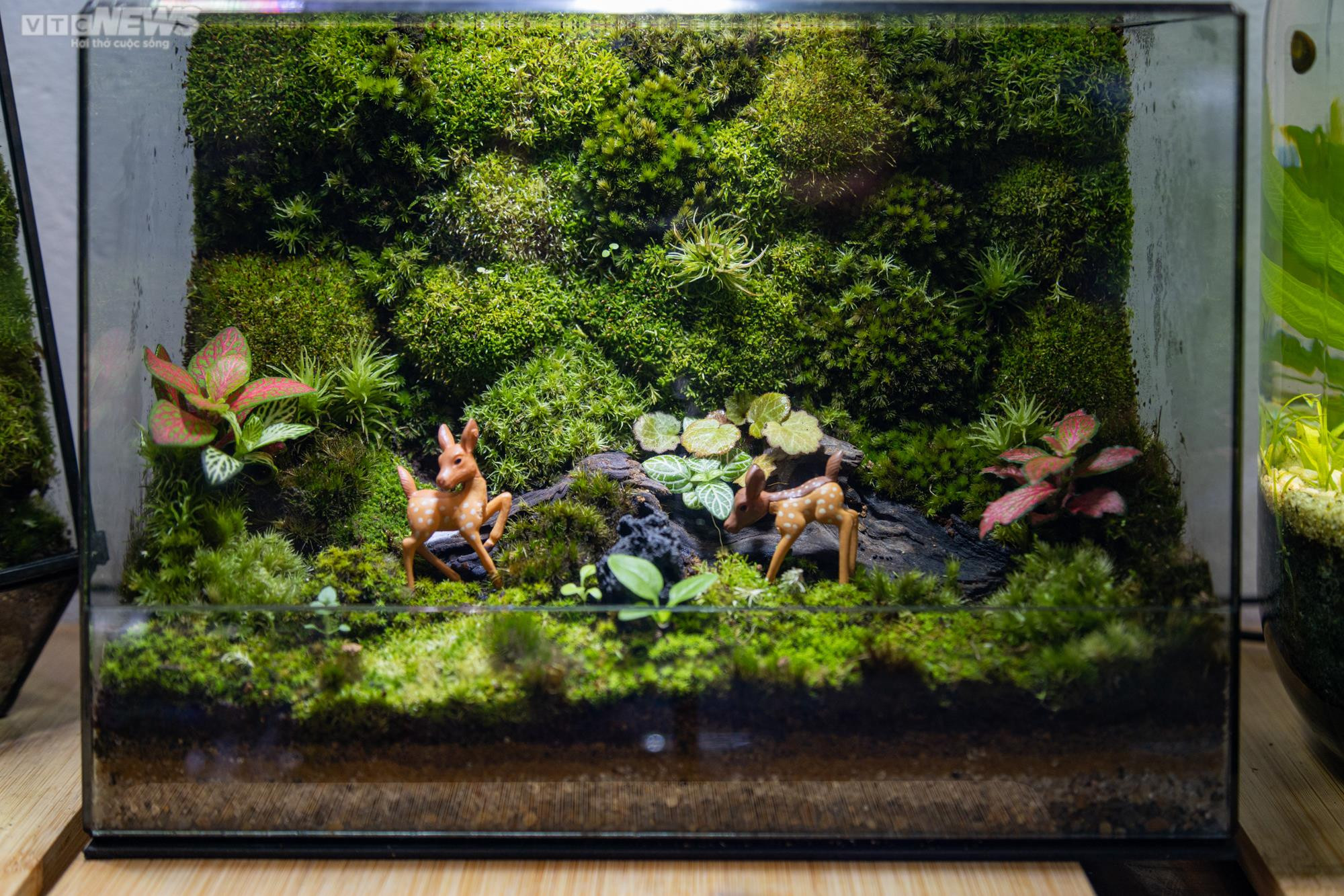 Chàng trai 9X kiếm trăm triệu mỗi tháng từ thú chơi 'lồng kính xanh' - 2