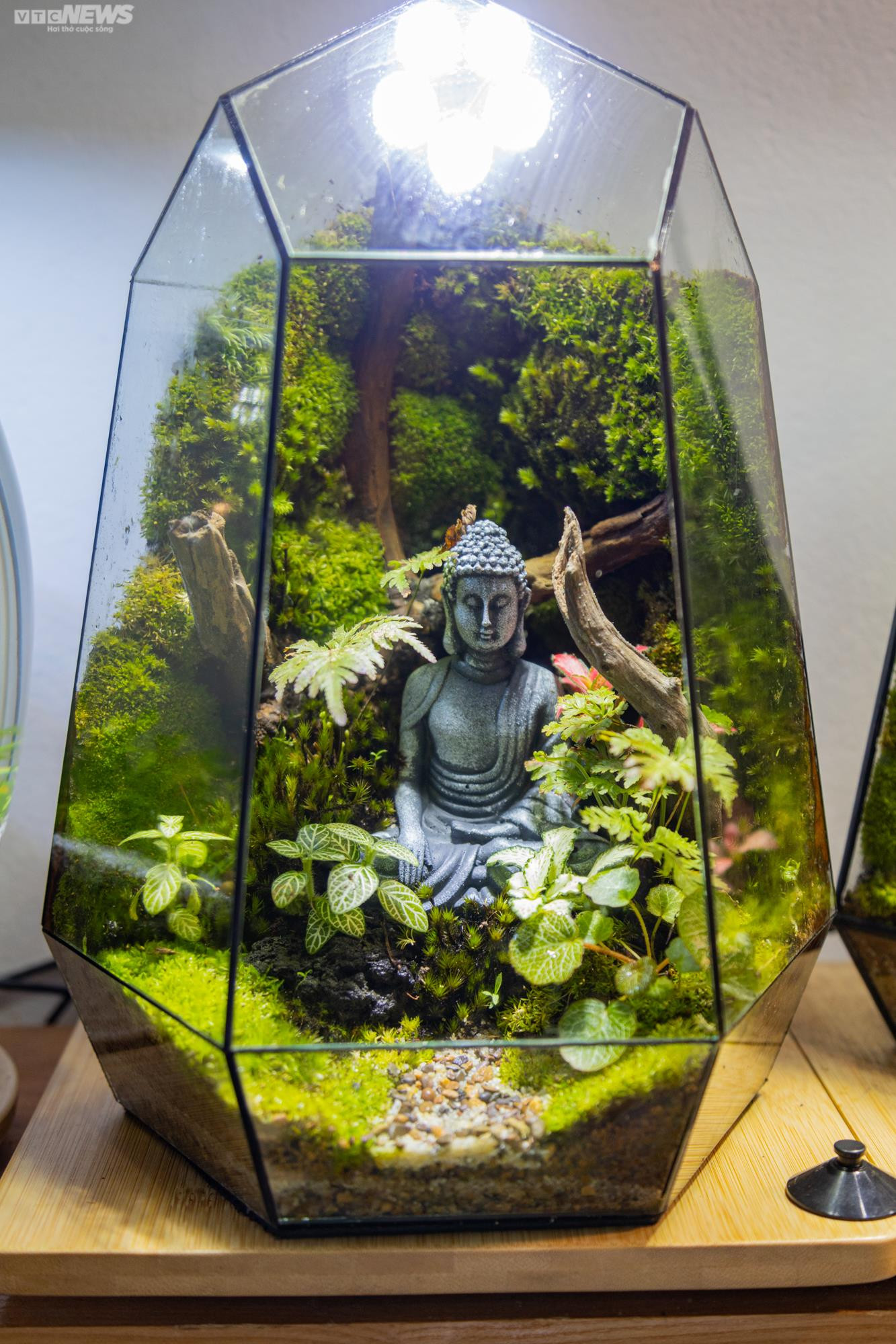 Chàng trai 9X kiếm trăm triệu mỗi tháng từ thú chơi 'lồng kính xanh' - 11