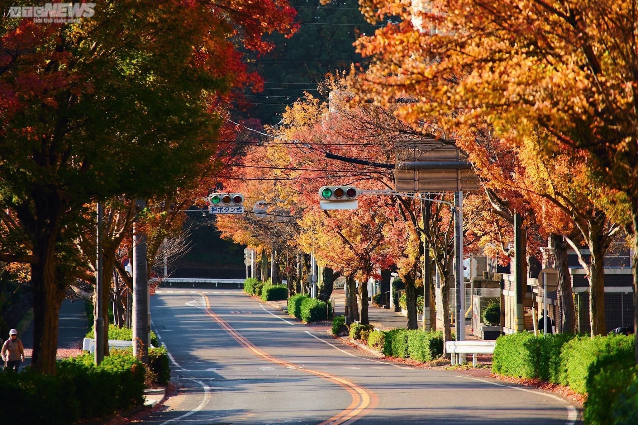 Nhật Bản mùa thay lá - 12