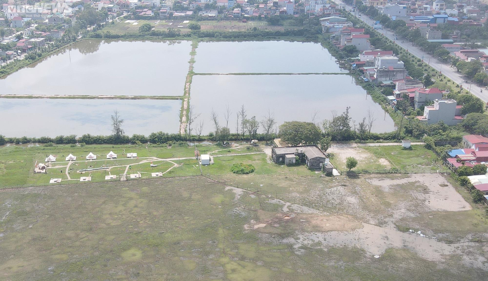 Dự án hơn 40 ha đất đắc địa ở Hải Phòng thành bãi chăn thả trâu - 9