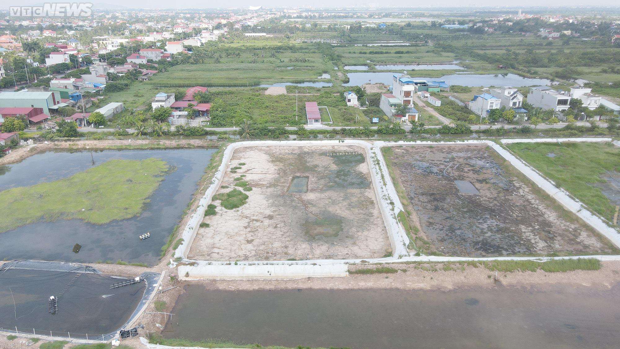 Dự án hơn 40 ha đất đắc địa ở Hải Phòng thành bãi chăn thả trâu - 10