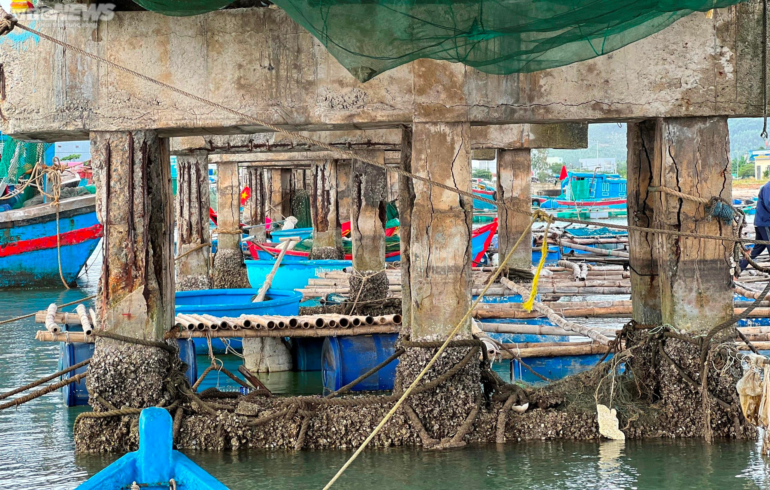 Cận cảnh cây cầu rệu rã chờ sập, người dân 'nín thở' đi qua mỗi ngày - 3