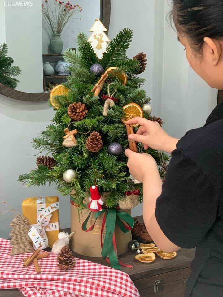 TP.HCM: Cây thông tươi nhập khẩu hút khách mùa Giáng sinh - 13