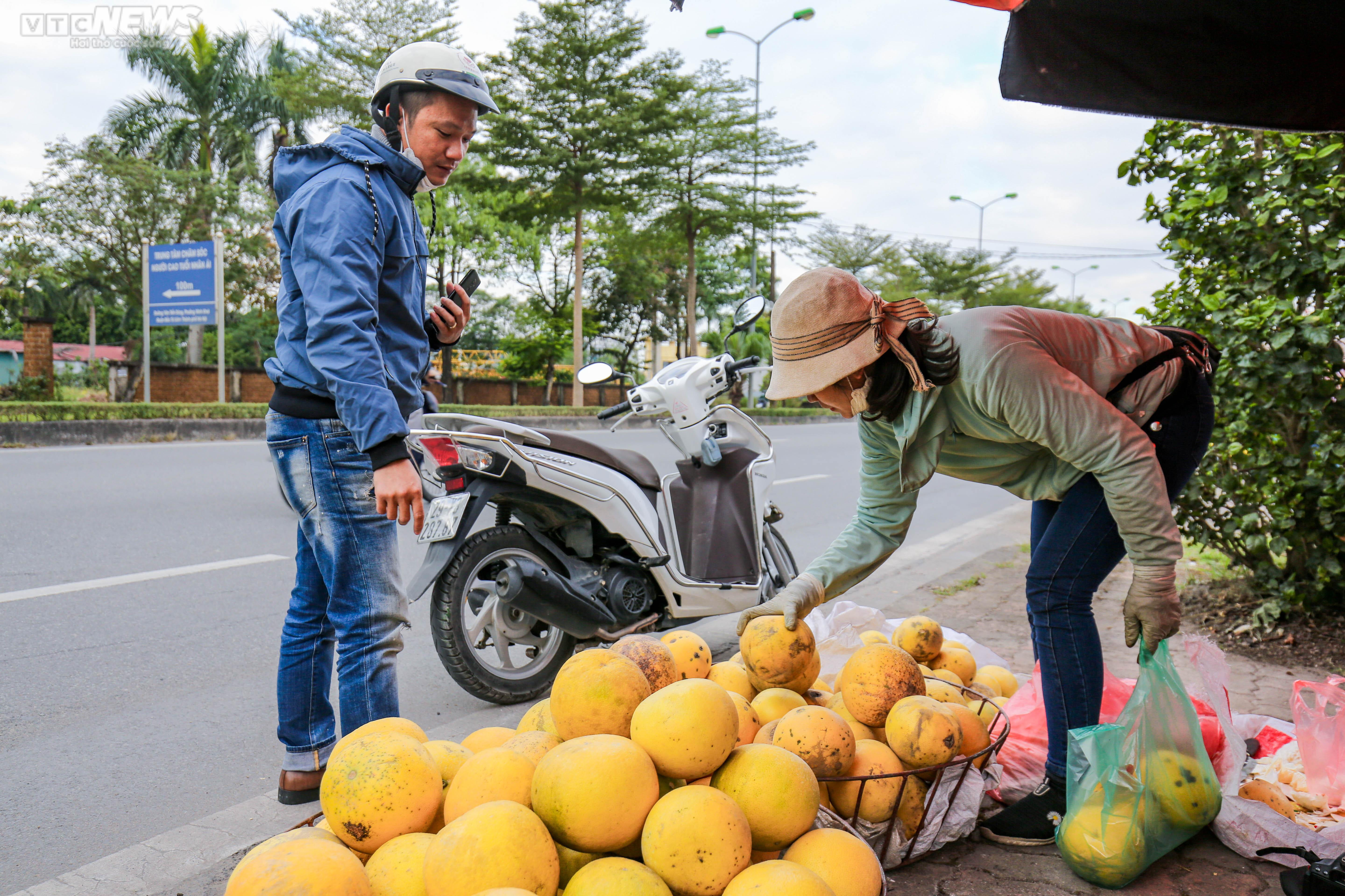 Vườn bưởi Diễn 2.000 gốc tất bật thu hoạch phục vụ dịp Tết 2023 - 12