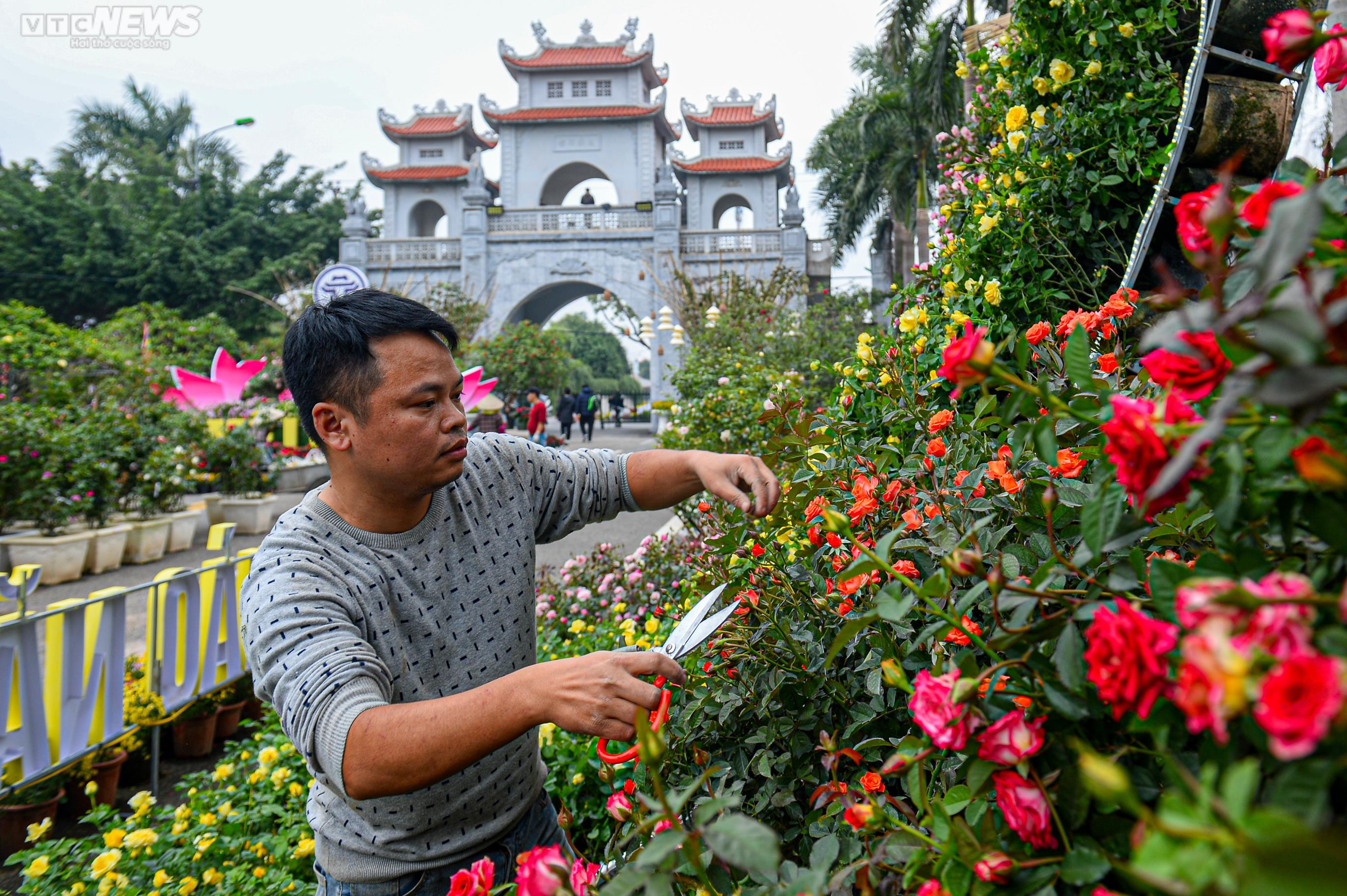 Người dân Mê Linh tất bật trang trí cho Festival hoa lớn nhất Thủ đô - 6