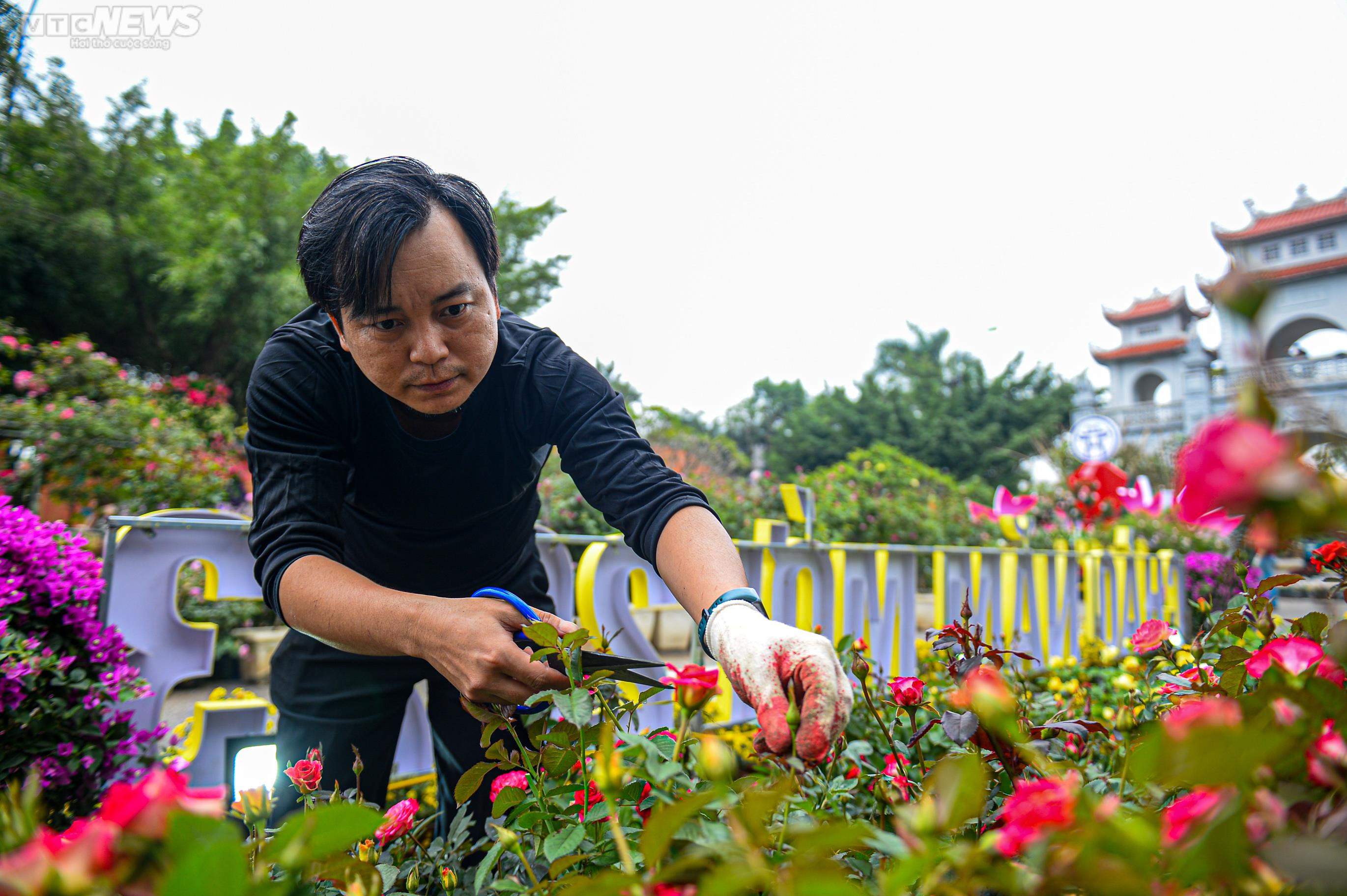 Người dân Mê Linh tất bật trang trí cho Festival hoa lớn nhất Thủ đô - 7
