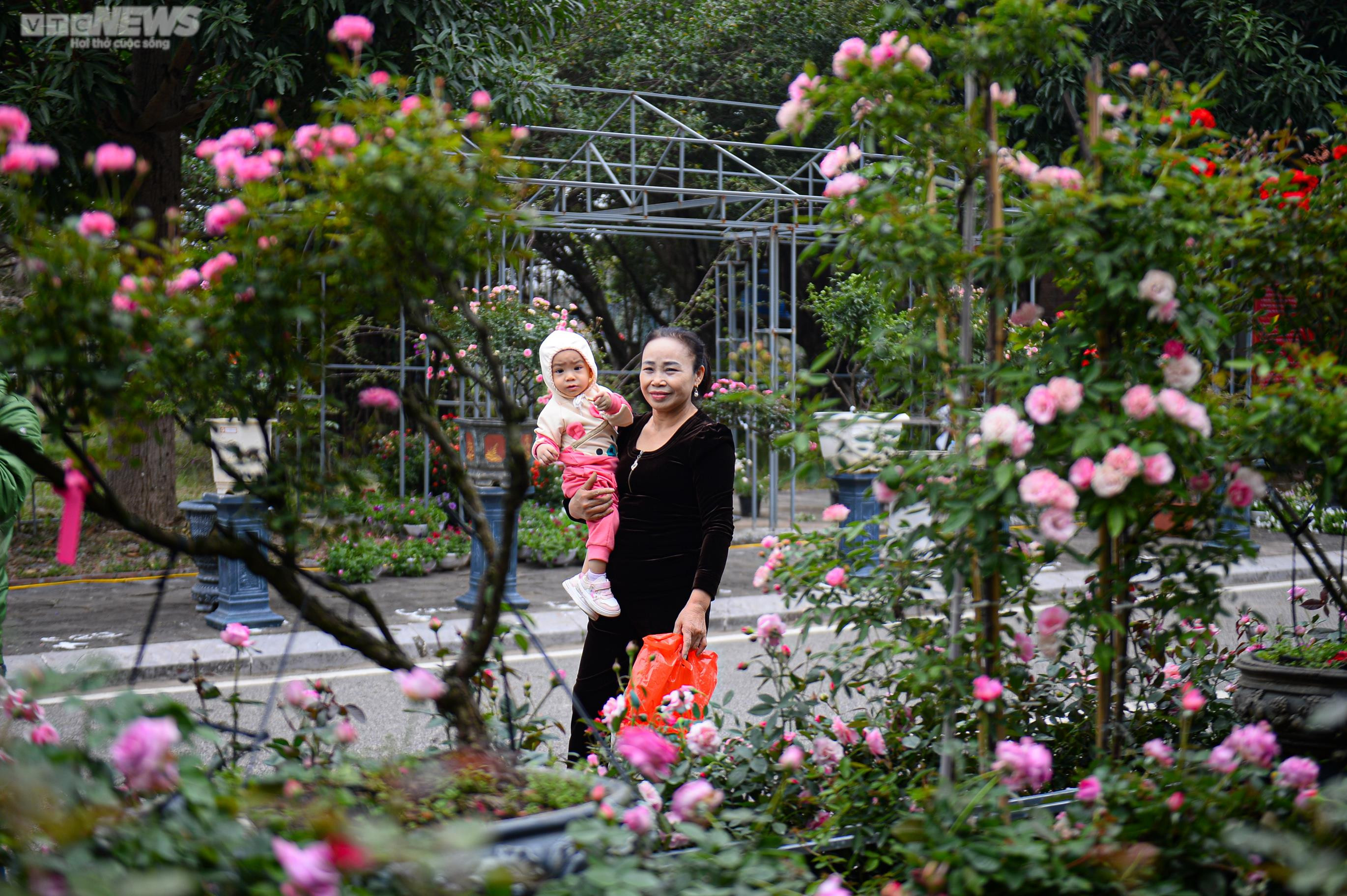 Người dân Mê Linh tất bật trang trí cho Festival hoa lớn nhất Thủ đô - 4