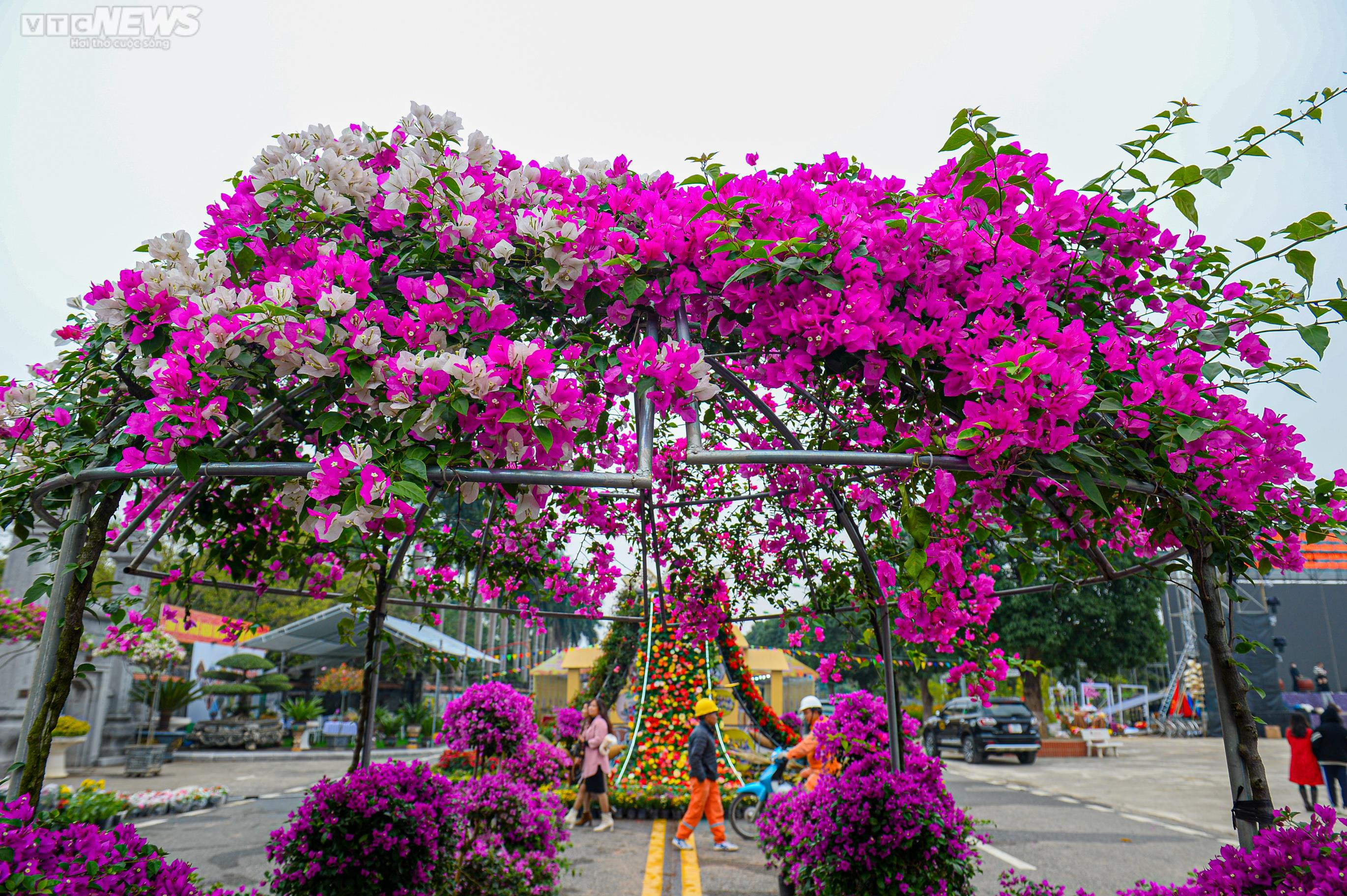 Người dân Mê Linh tất bật trang trí cho Festival hoa lớn nhất Thủ đô - 5