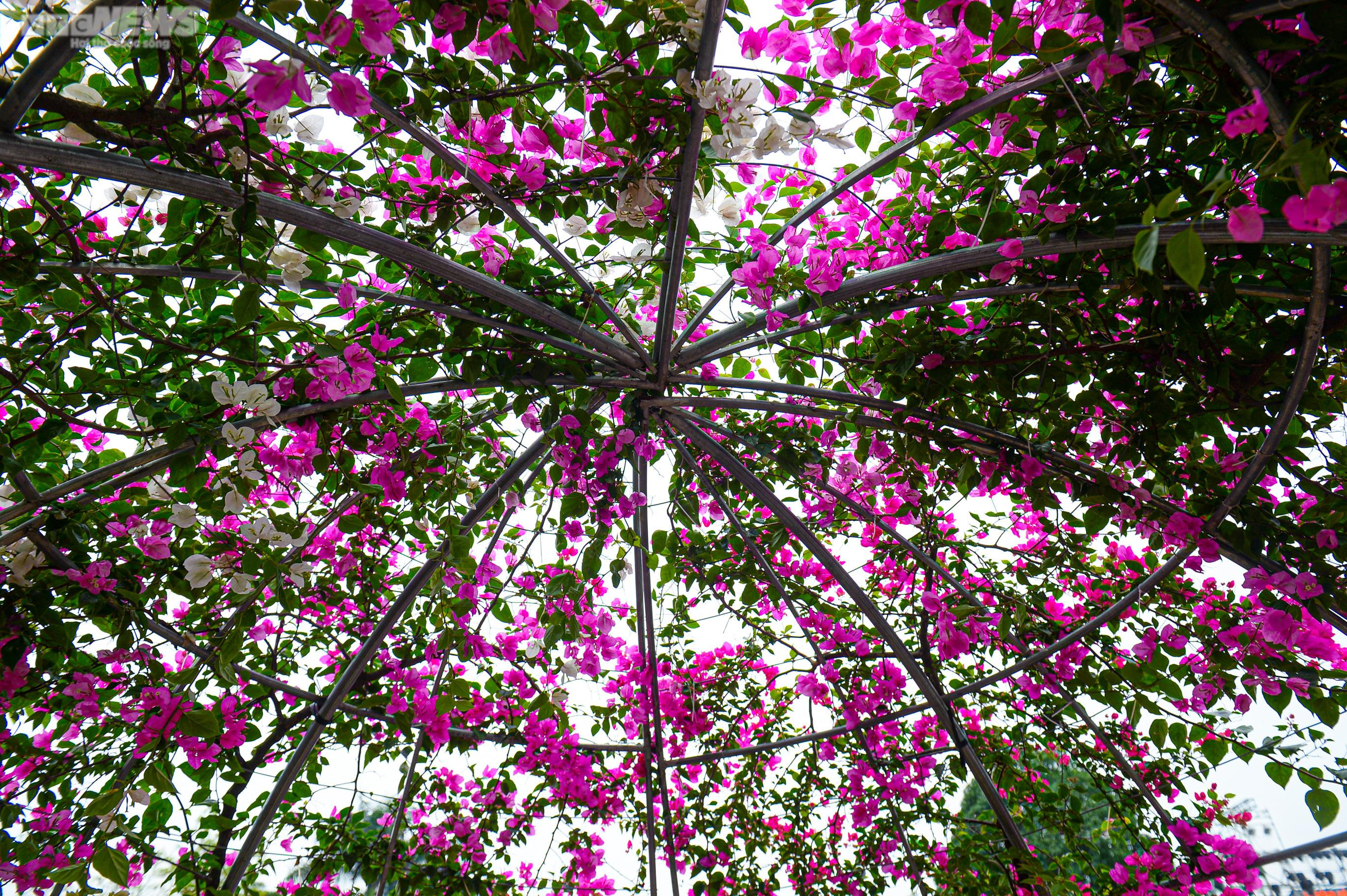 Người dân Mê Linh tất bật trang trí cho Festival hoa lớn nhất Thủ đô - 13