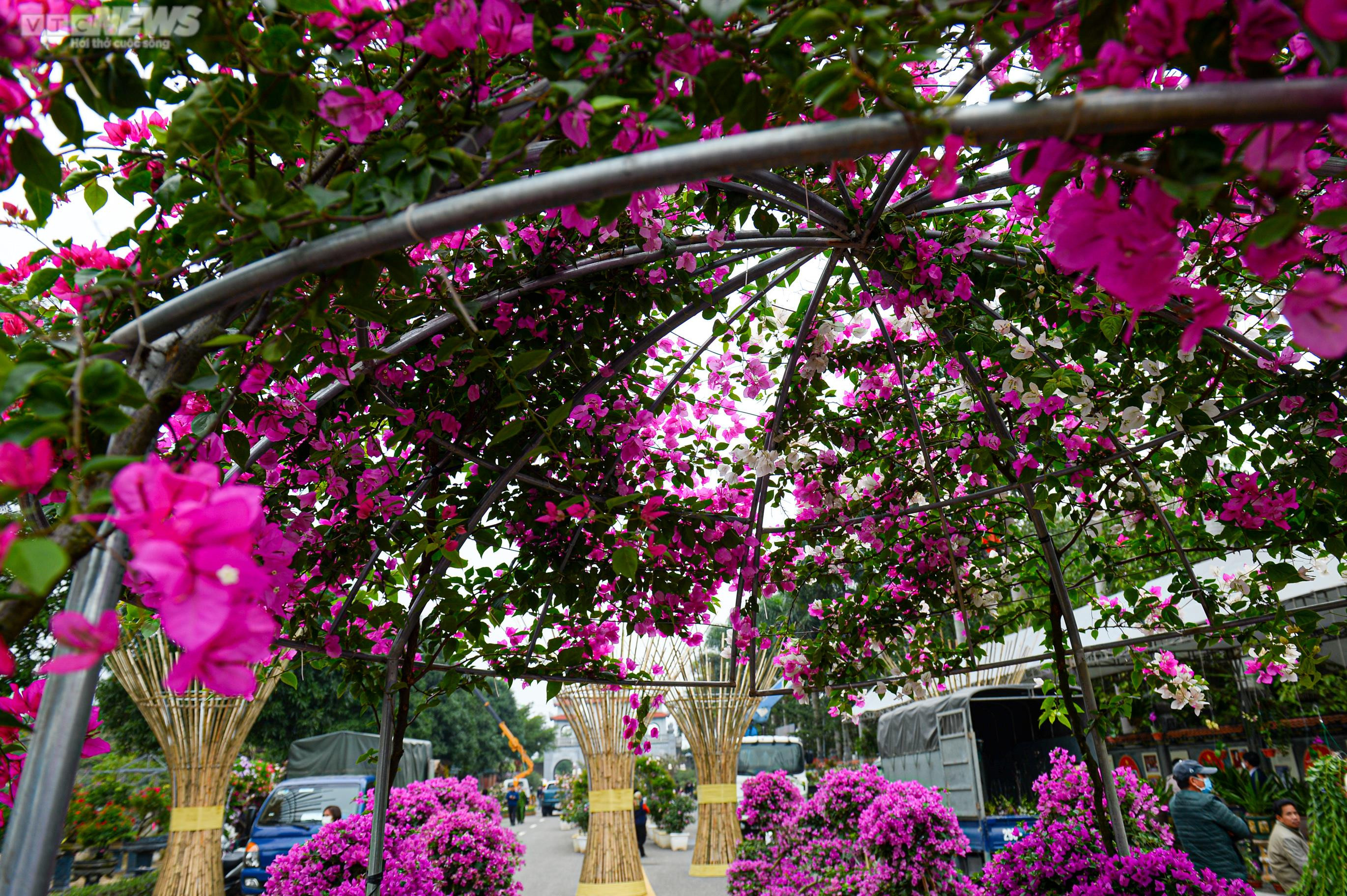 Người dân Mê Linh tất bật trang trí cho Festival hoa lớn nhất Thủ đô - 12