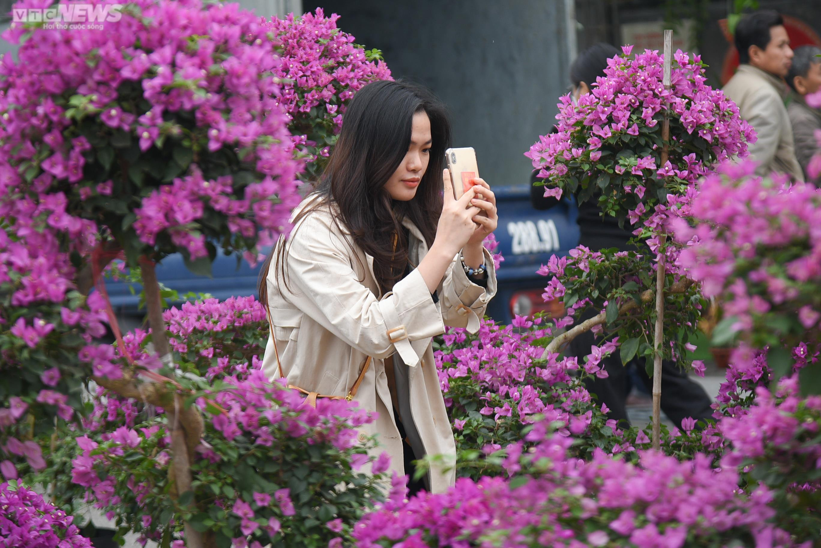 Người dân Mê Linh tất bật trang trí cho Festival hoa lớn nhất Thủ đô - 9