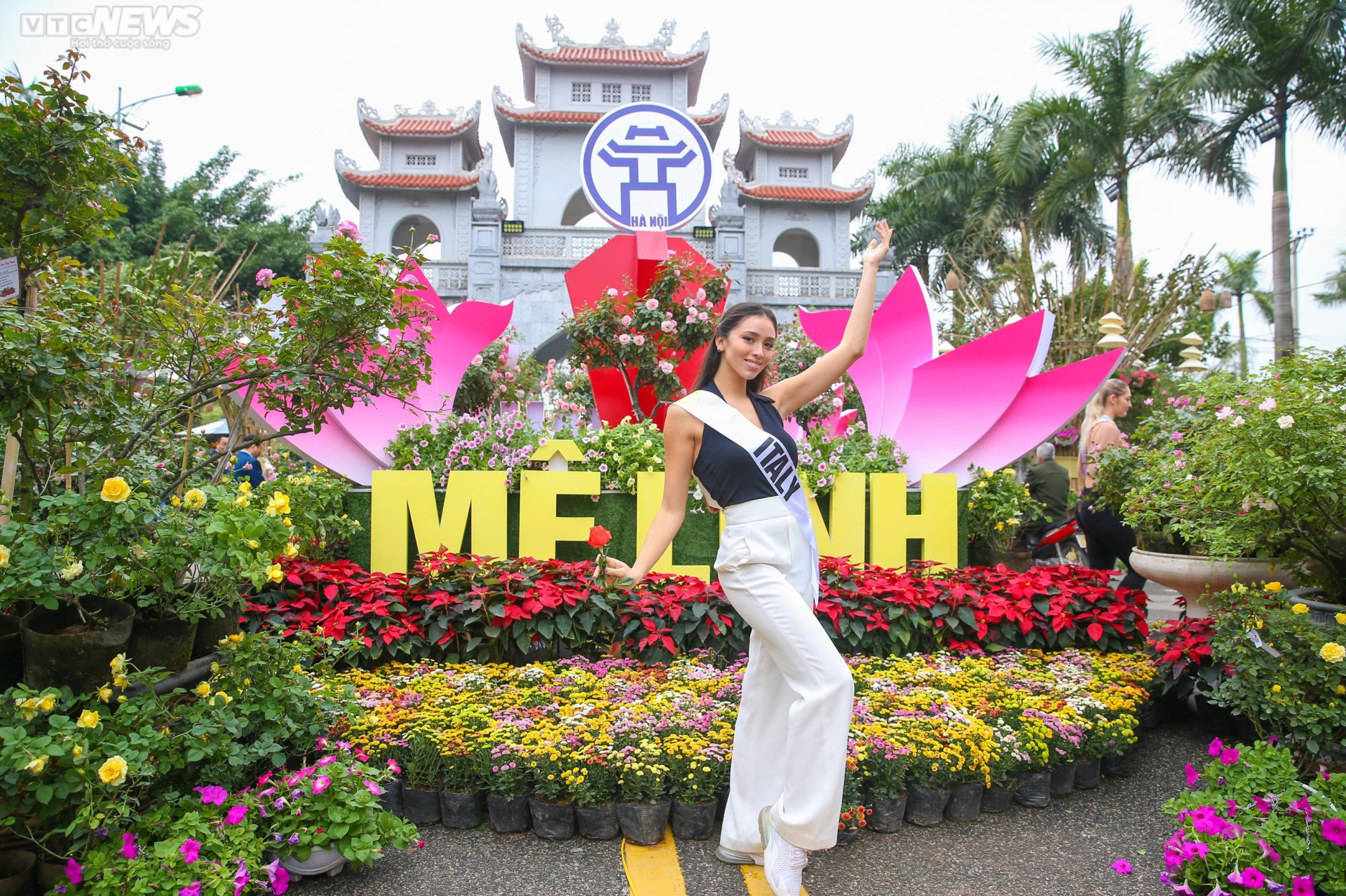 Dàn Hoa hậu Du lịch Thế giới khoe sắc cùng hoa Mê Linh, Hà Nội - 4