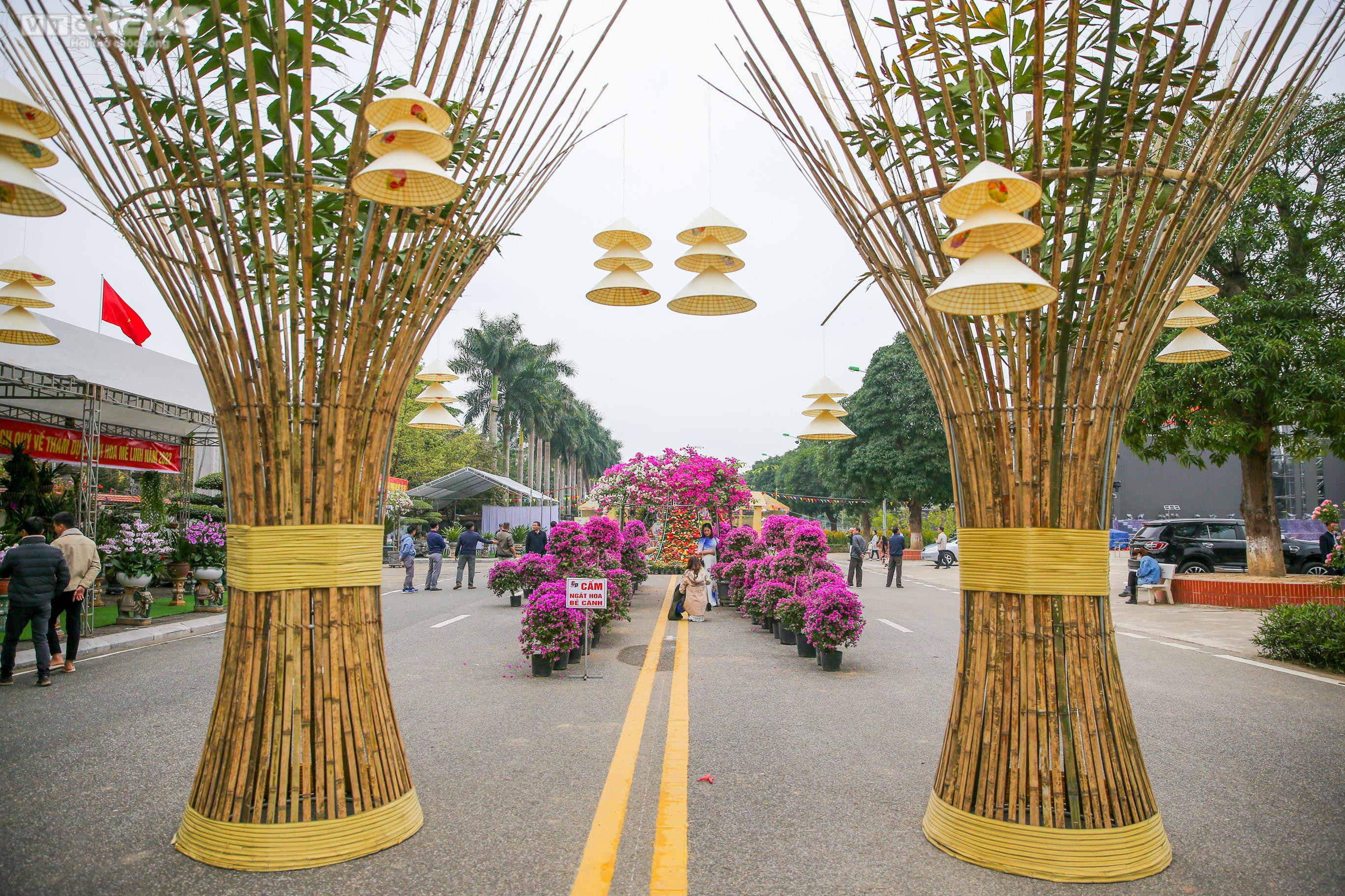 Dàn Hoa hậu Du lịch Thế giới khoe sắc cùng hoa Mê Linh, Hà Nội - 18