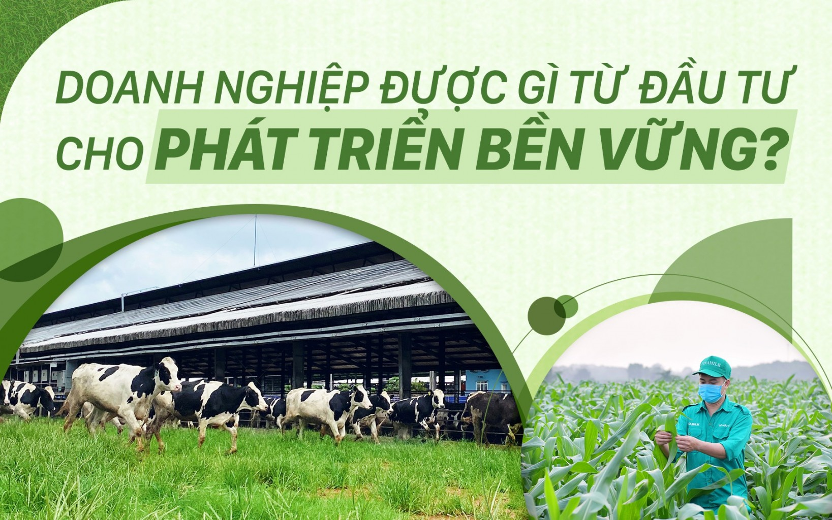 Doanh nghiệp được gì từ đầu tư cho phát triển bền vững? - 1