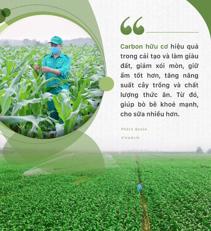 Doanh nghiệp được gì từ đầu tư cho phát triển bền vững? - 5