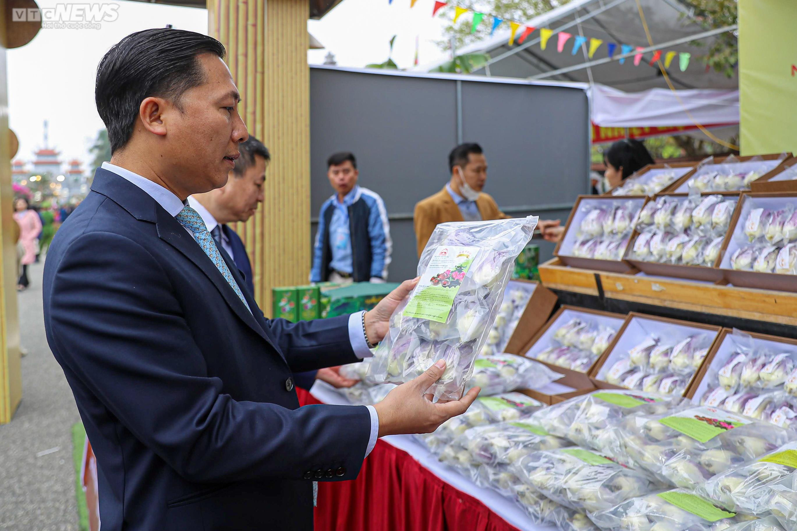 Nghìn du khách đổ về Mê Linh trong ngày khai mạc lễ hội hoa lớn nhất Thủ đô - 4