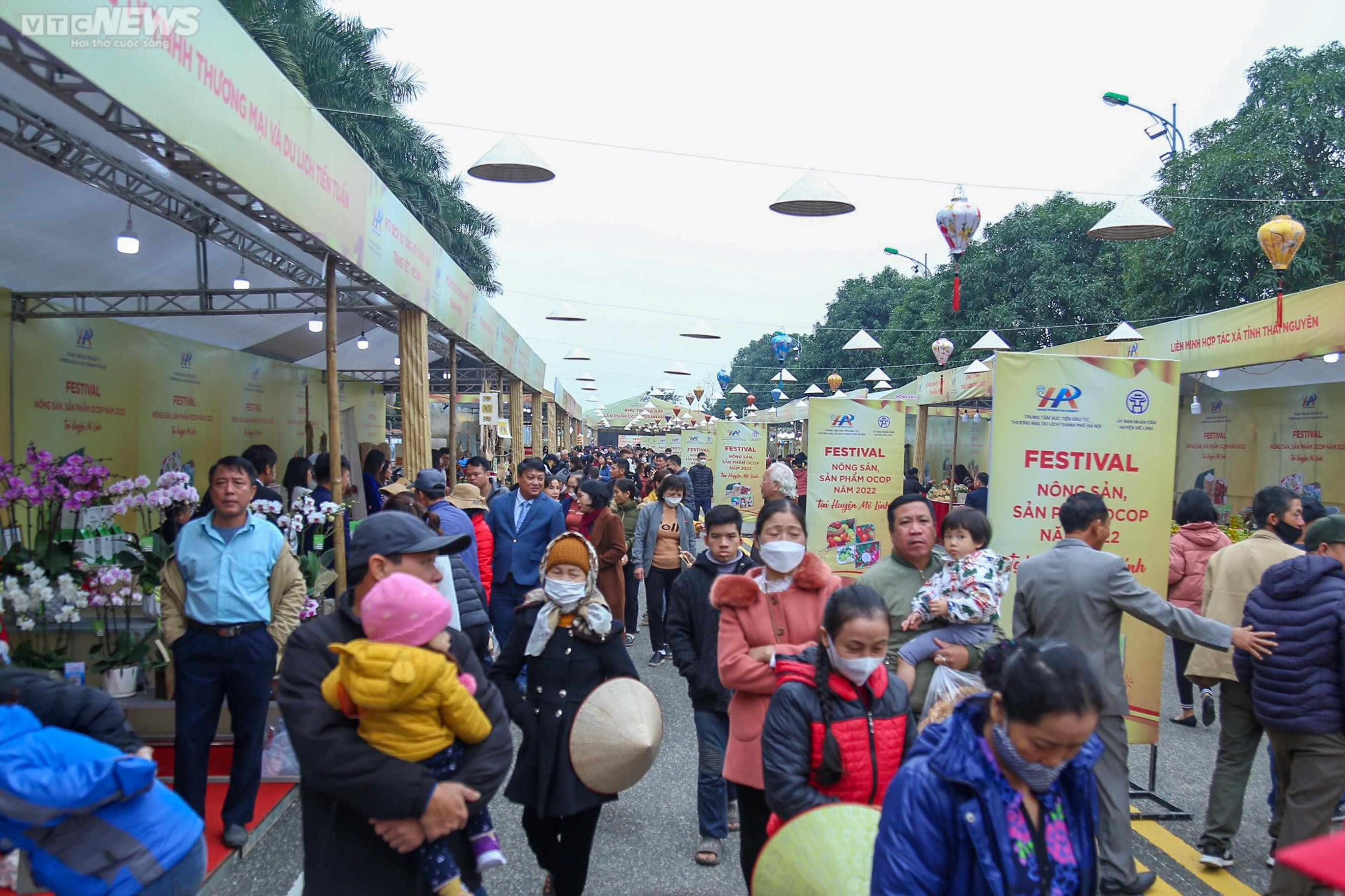 Nghìn du khách đổ về Mê Linh trong ngày khai mạc lễ hội hoa lớn nhất Thủ đô - 6