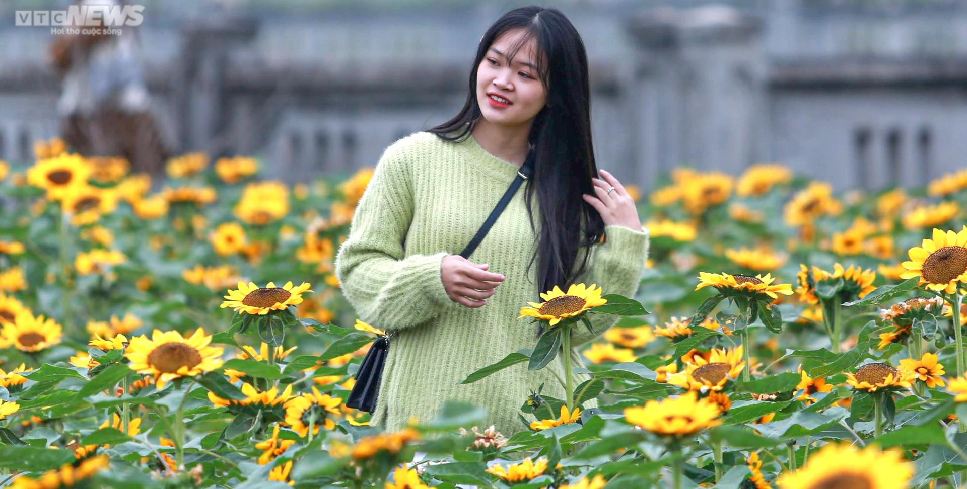 Nghìn du khách đổ về Mê Linh trong ngày khai mạc lễ hội hoa lớn nhất Thủ đô - 12