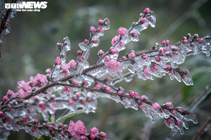 Miền Bắc đón đợt rét sâu nhất từ đầu đông: Chuyên gia nhận định gì? - 3