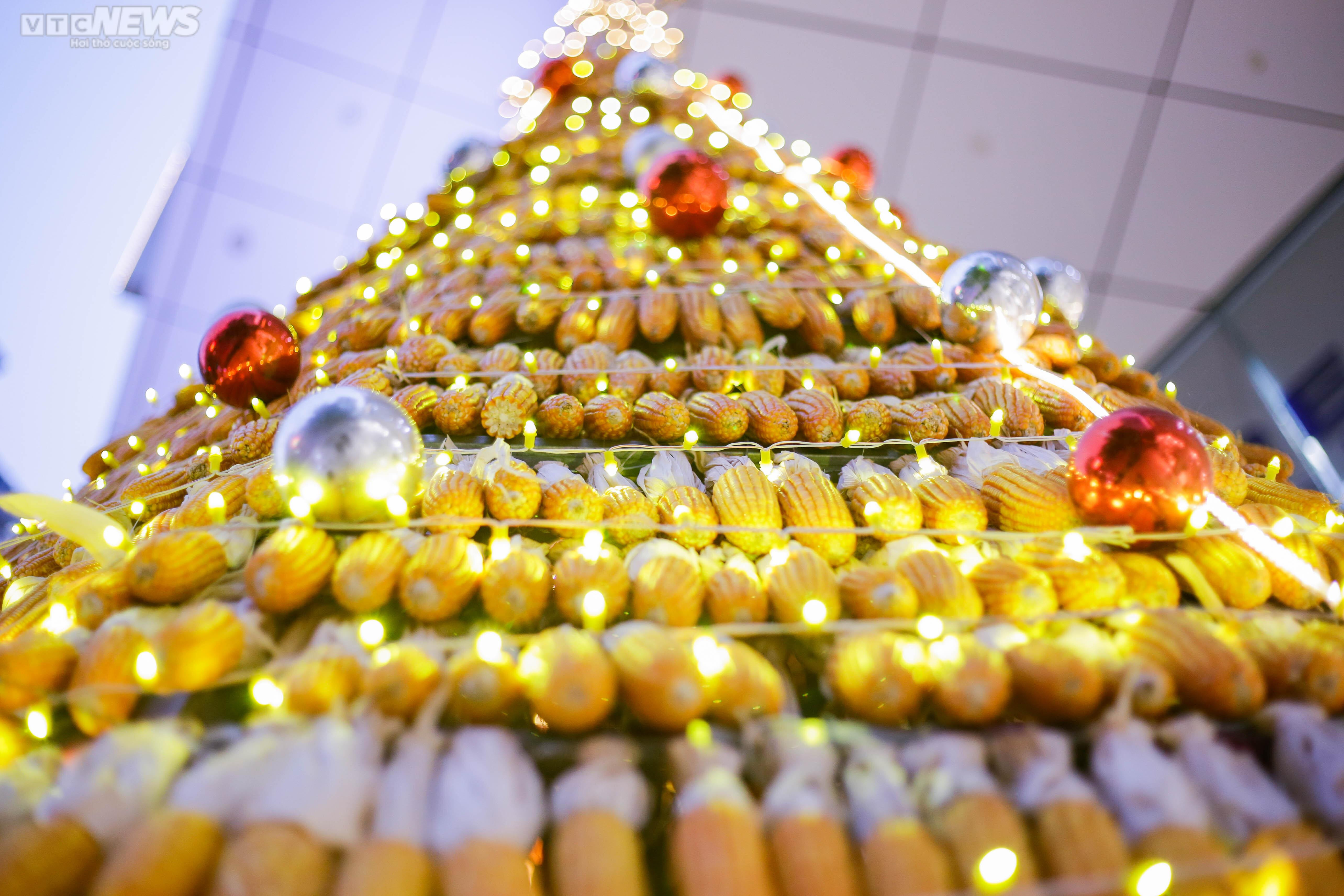 Độc đáo cây thông Noel vàng ruộm làm từ 8.000 bắp ngô - 2