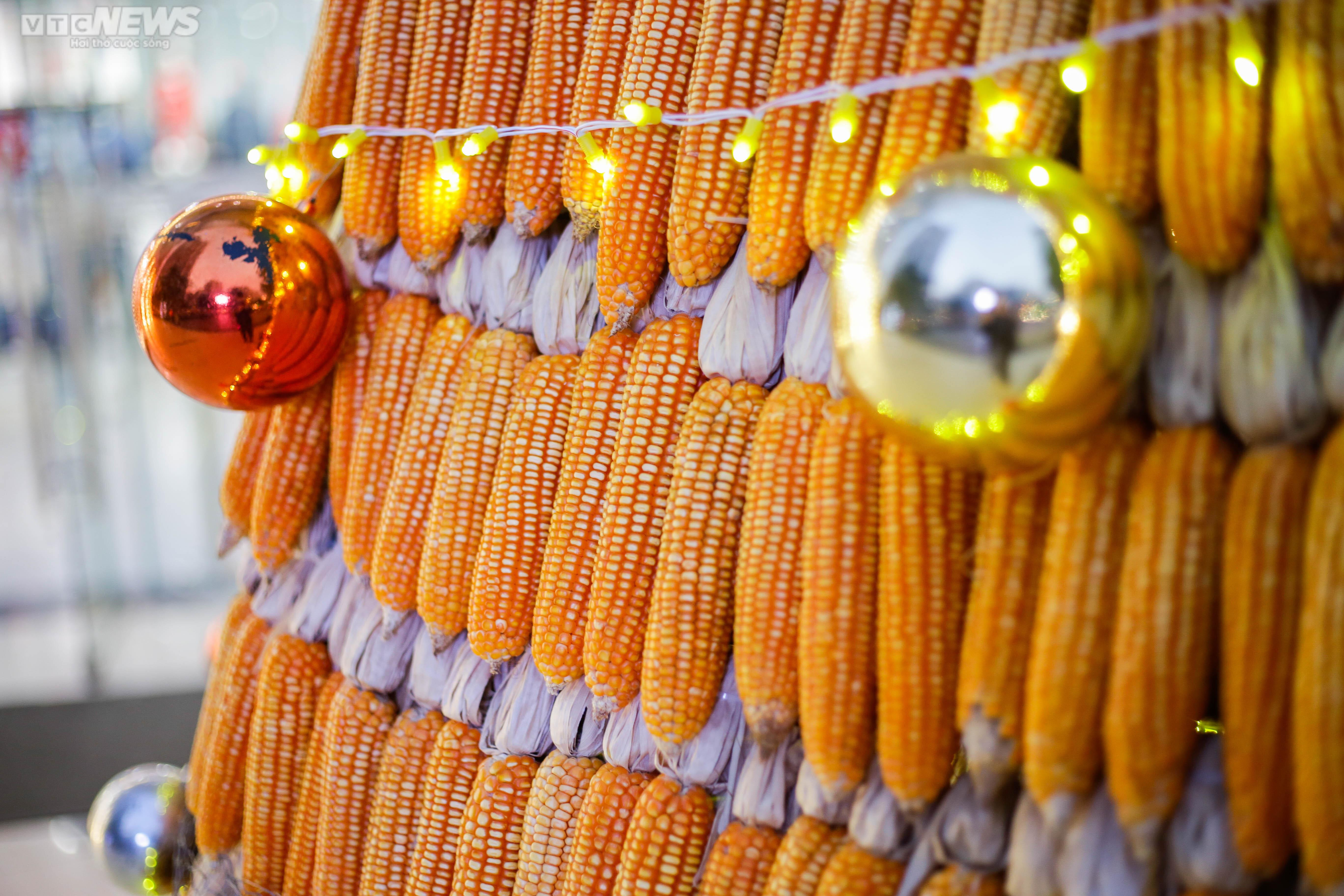 Độc đáo cây thông Noel vàng ruộm làm từ 8.000 bắp ngô - 6