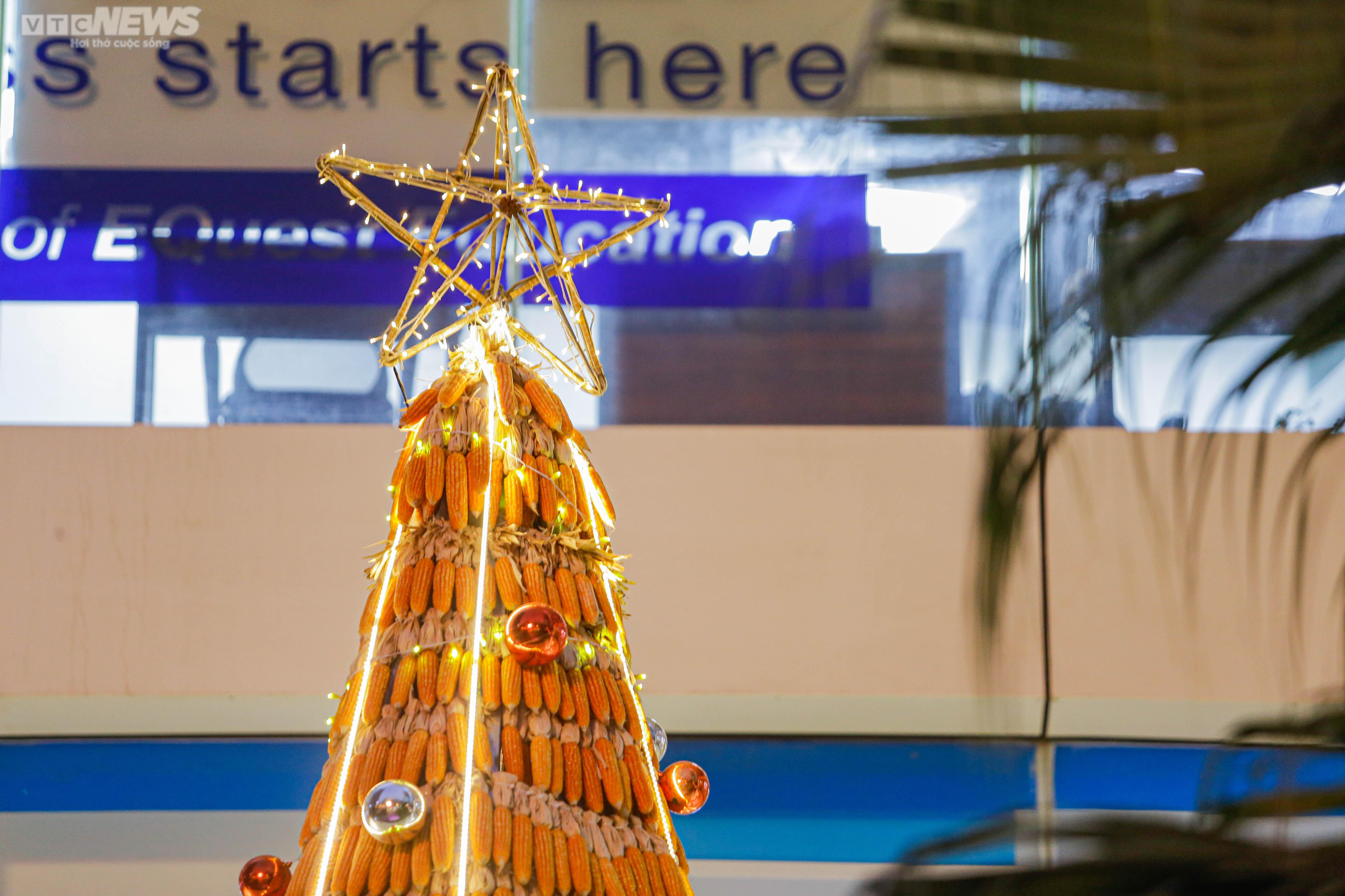 Độc đáo cây thông Noel vàng ruộm làm từ 8.000 bắp ngô - 3