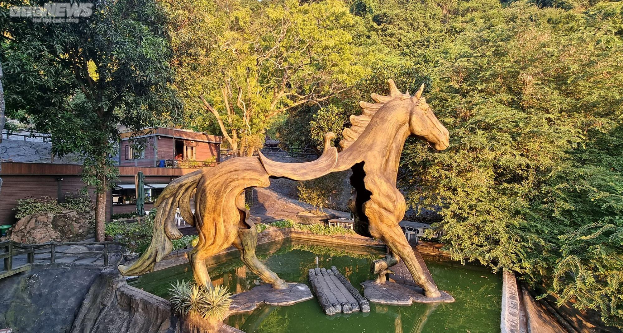 Chiêm ngưỡng ngôi nhà 'có 1 không 2' trên đảo Cát Bà - 5