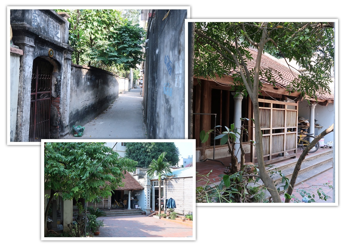 Đi tìm những chiến sỹ hy sinh trong vụ tập kích Sơn Tây: Liệt sỹ họ Ngô - 4