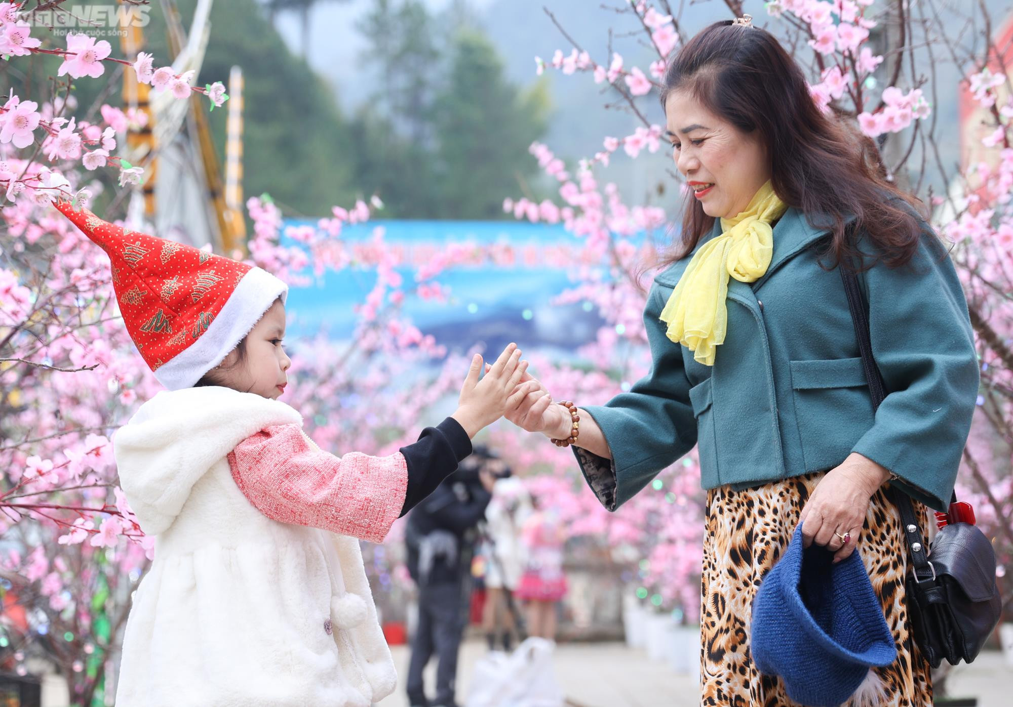 Lễ hội hoa tớ dày Mù Cang Chải thu hút du khách thập phương - 13