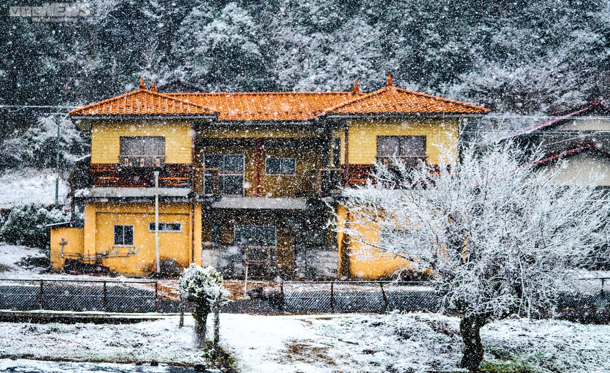 Tuyết đầu mùa trắng xoá miền trung du Nhật Bản - 2