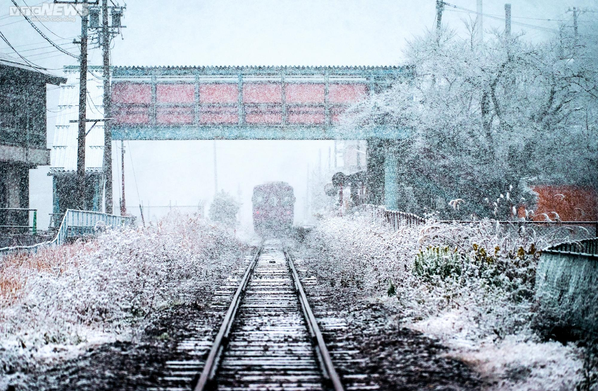 Tuyết đầu mùa trắng xoá miền trung du Nhật Bản - 9