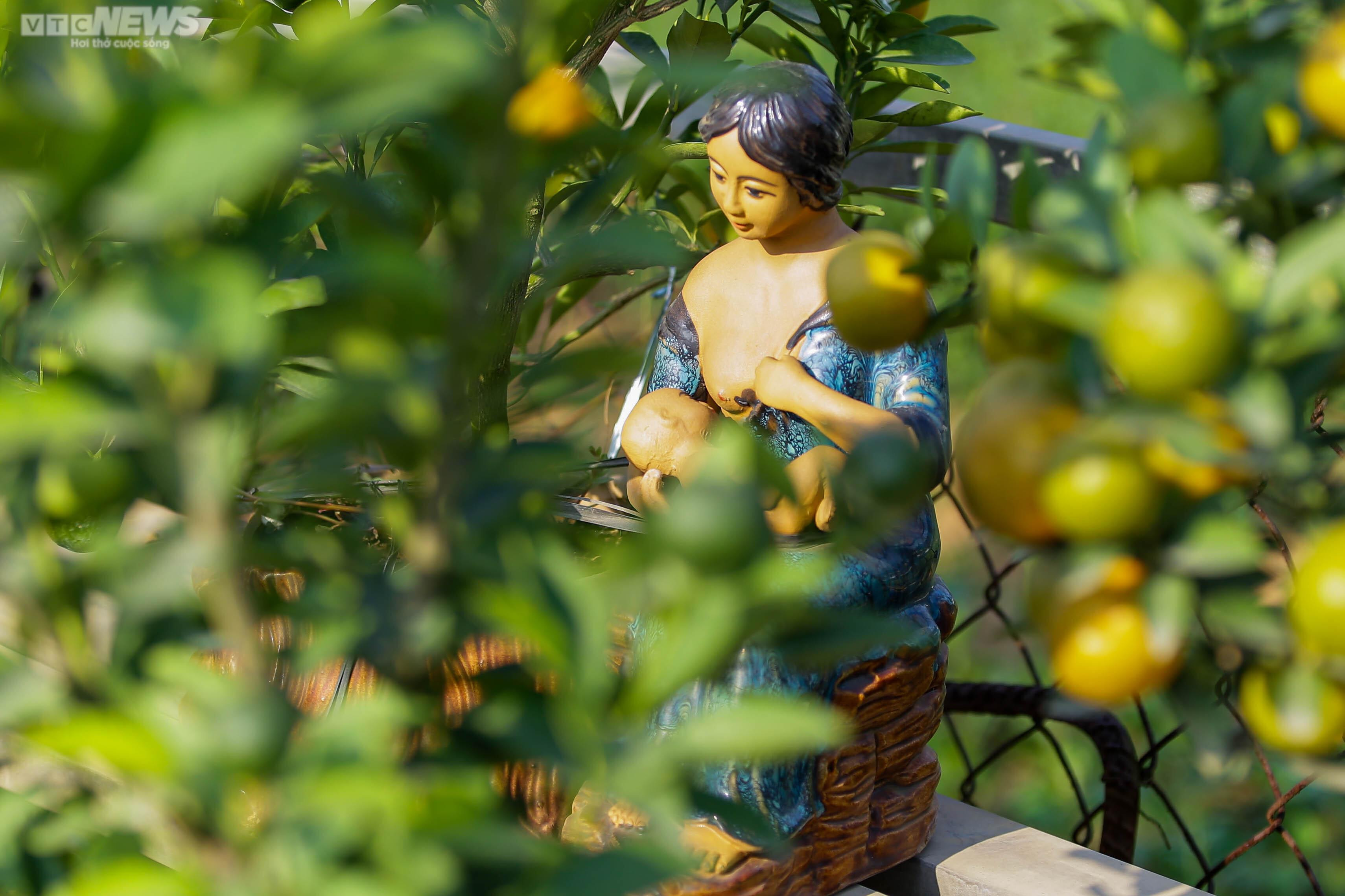 Khách săn mua quất bonsai dáng độc, giá tiền triệu chơi Tết - 11