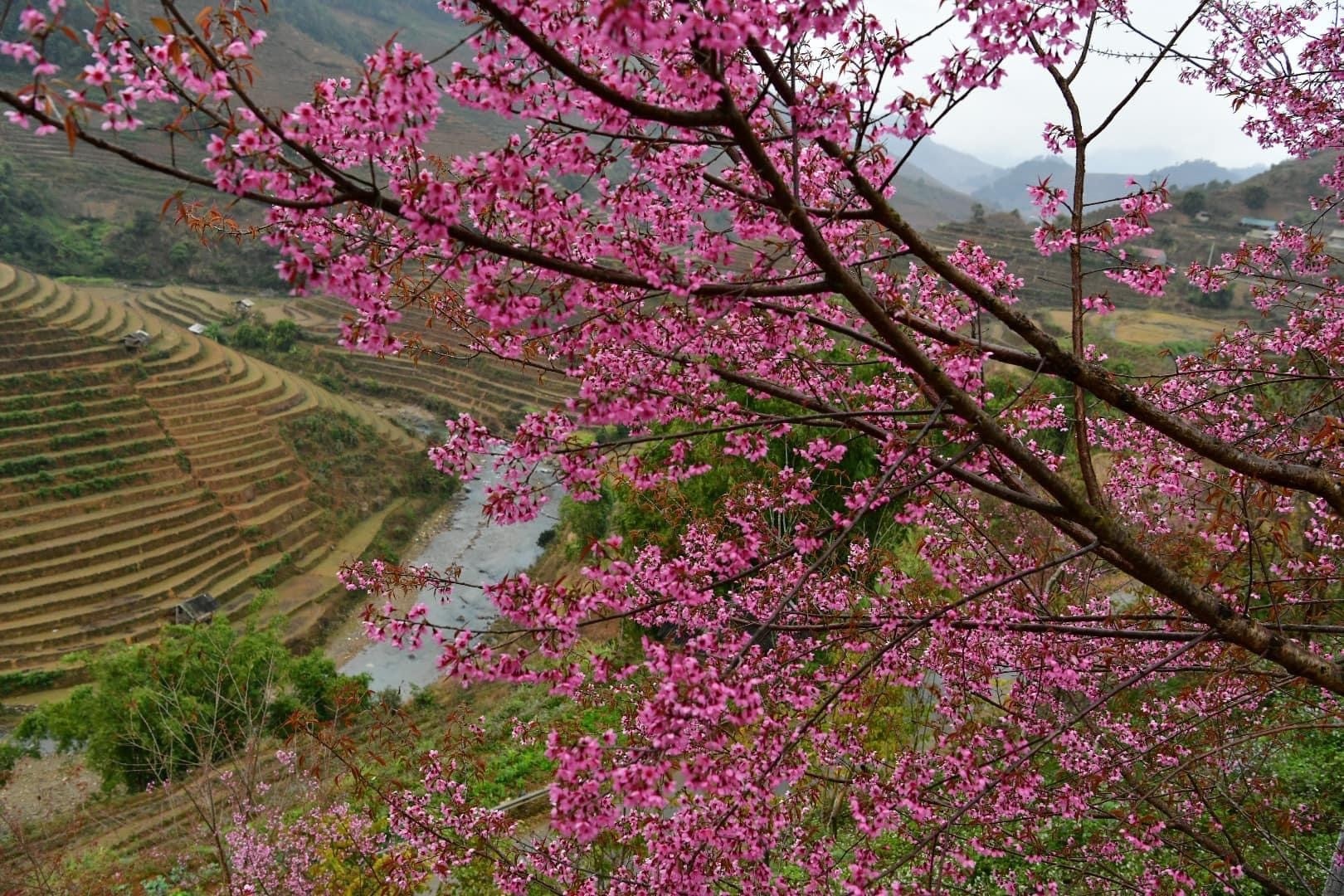  8 địa điểm bạn trẻ không thể bỏ qua khi đi du lịch Yên Bái 