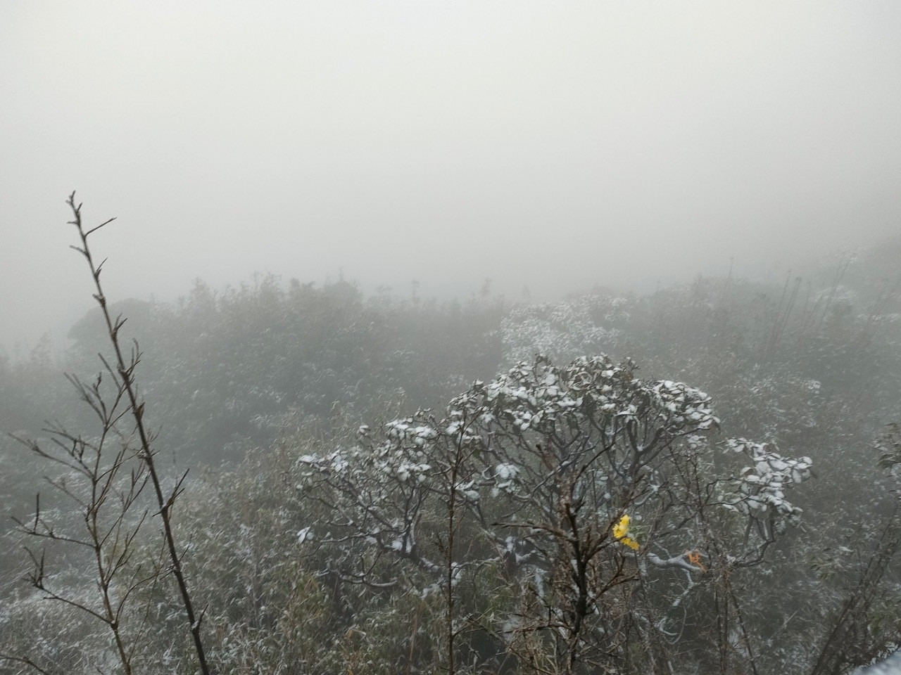 Nhiệt độ xuống dưới -1 độ C, tuyết rơi phủ trắng đỉnh Fansipan - 10