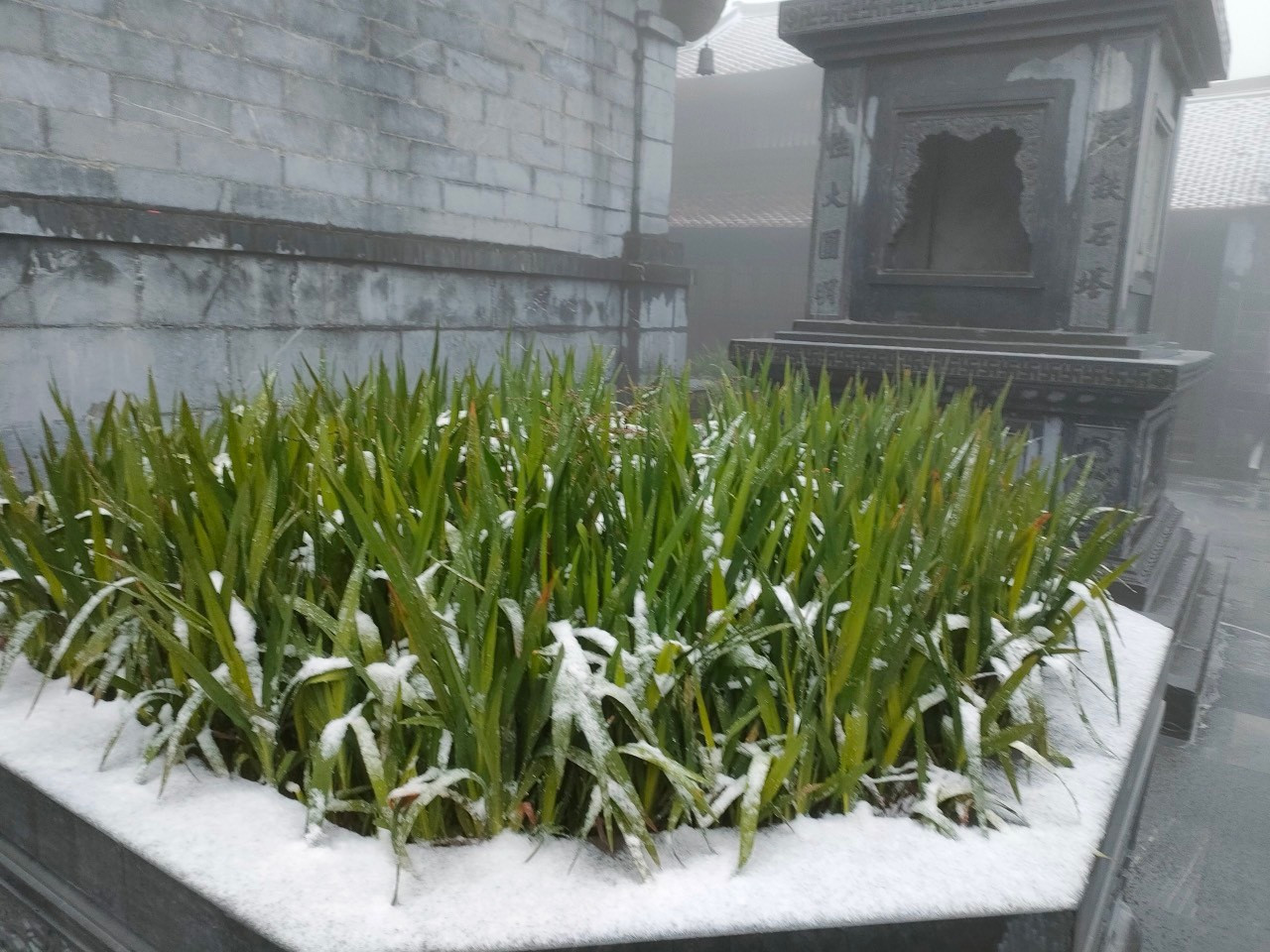 Nhiệt độ xuống dưới -1 độ C, tuyết rơi phủ trắng đỉnh Fansipan - 11