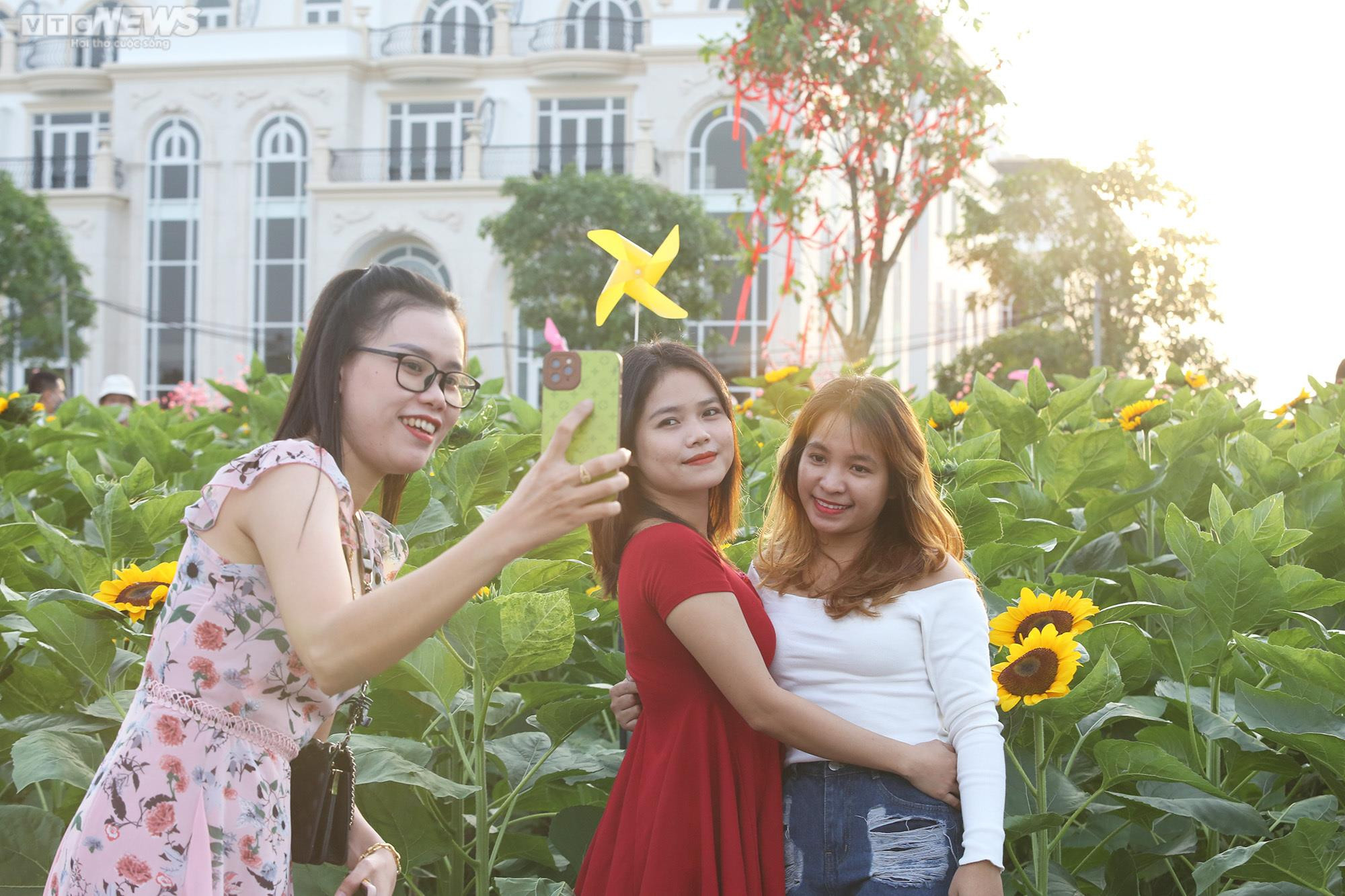 Mê mẩn trước vườn hoa hướng dương rộng 12.000m2 ở TP.HCM - 8