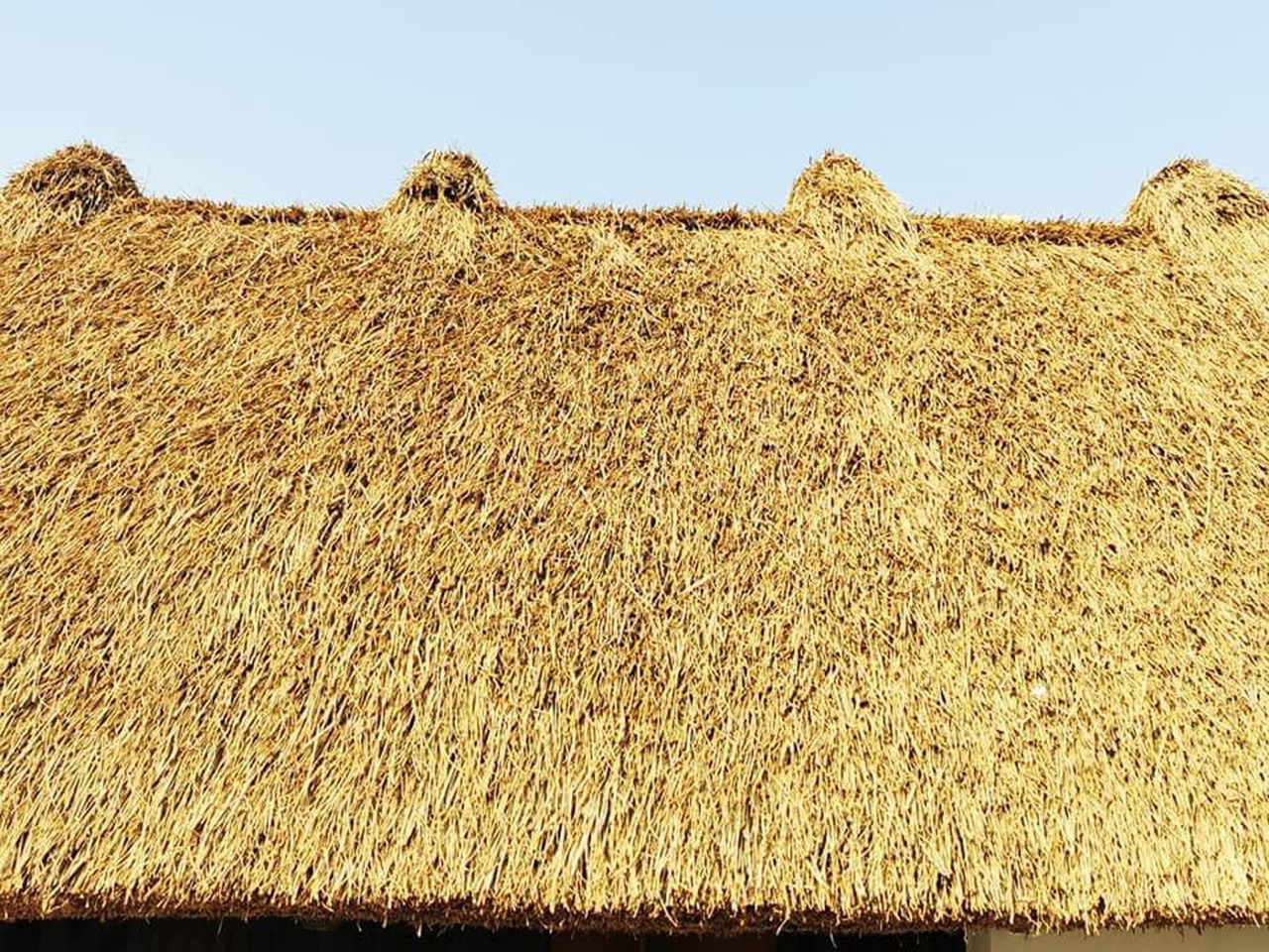 Những ngôi nhà mái rạ độc đáo, nguyên bản nét quê Bắc Bộ cuối cùng ở Nam Định - 8