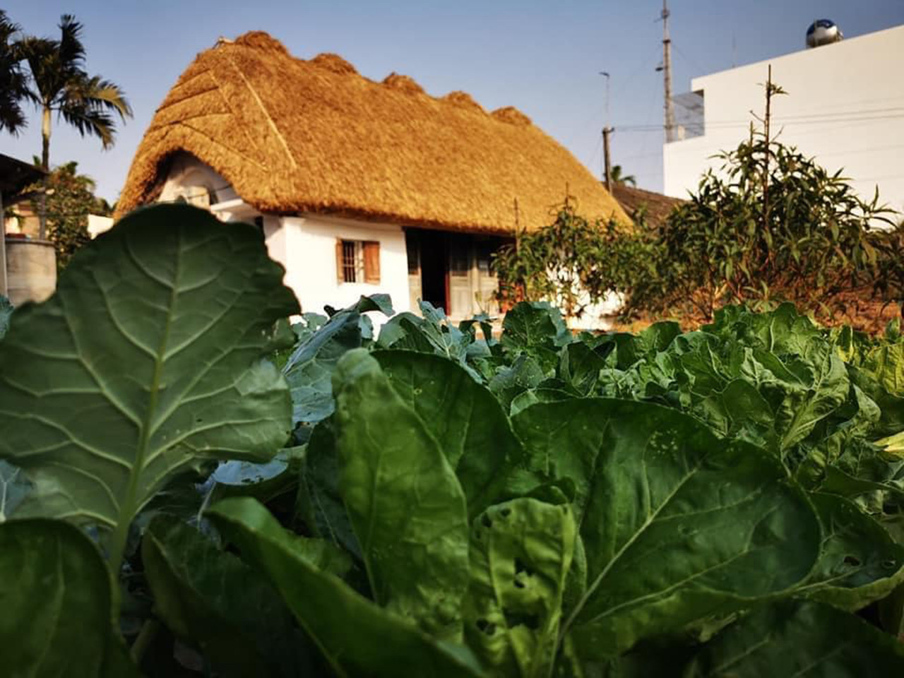 Những ngôi nhà mái rạ độc đáo, nguyên bản nét quê Bắc Bộ cuối cùng ở Nam Định - 20