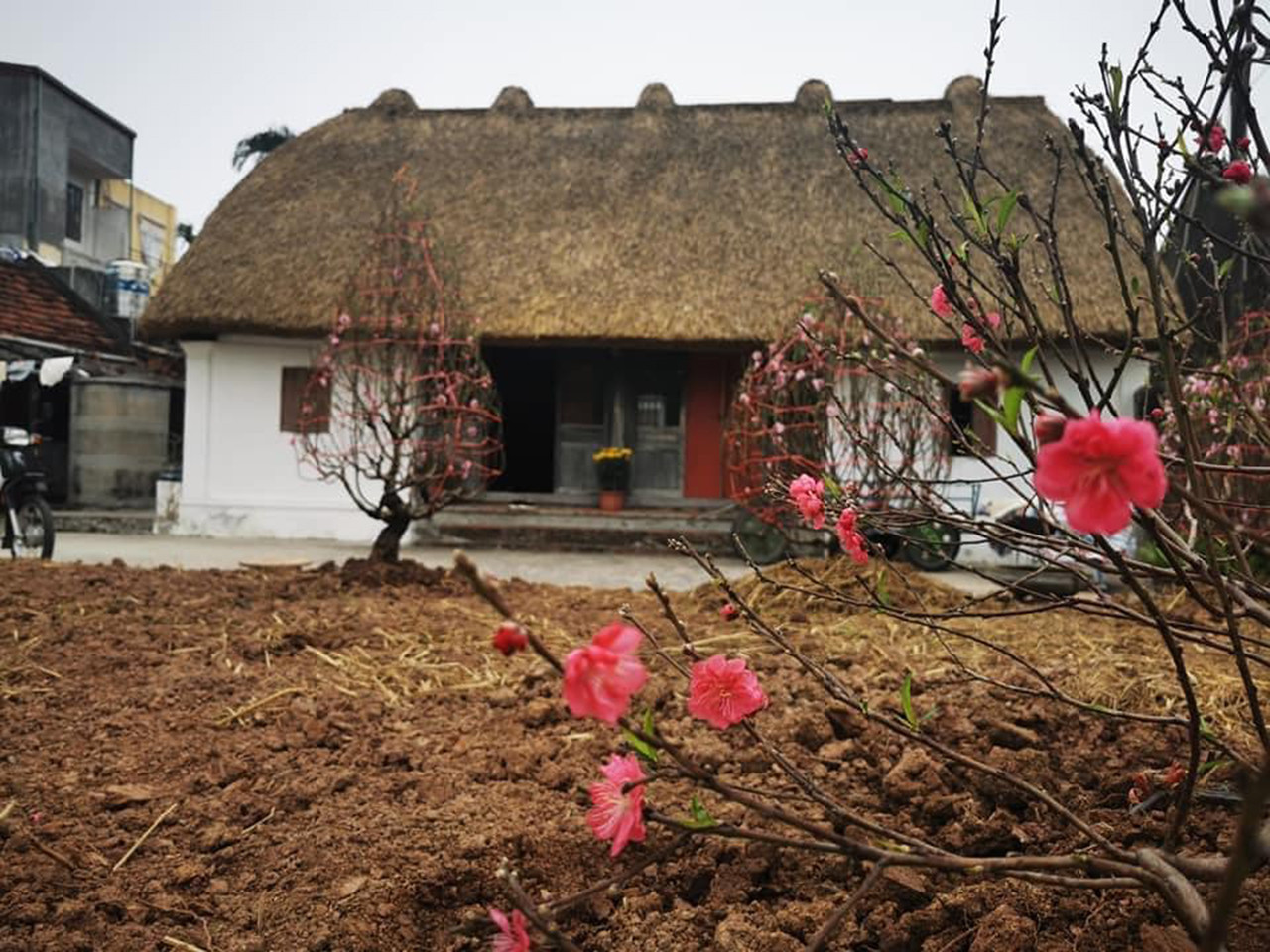 Những ngôi nhà mái rạ độc đáo, nguyên bản nét quê Bắc Bộ cuối cùng ở Nam Định - 1
