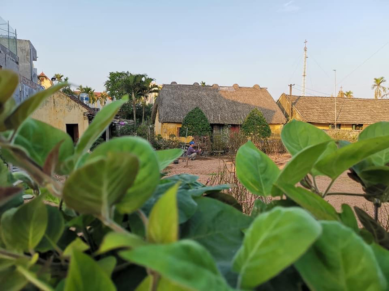 Những ngôi nhà mái rạ độc đáo, nguyên bản nét quê Bắc Bộ cuối cùng ở Nam Định - 4