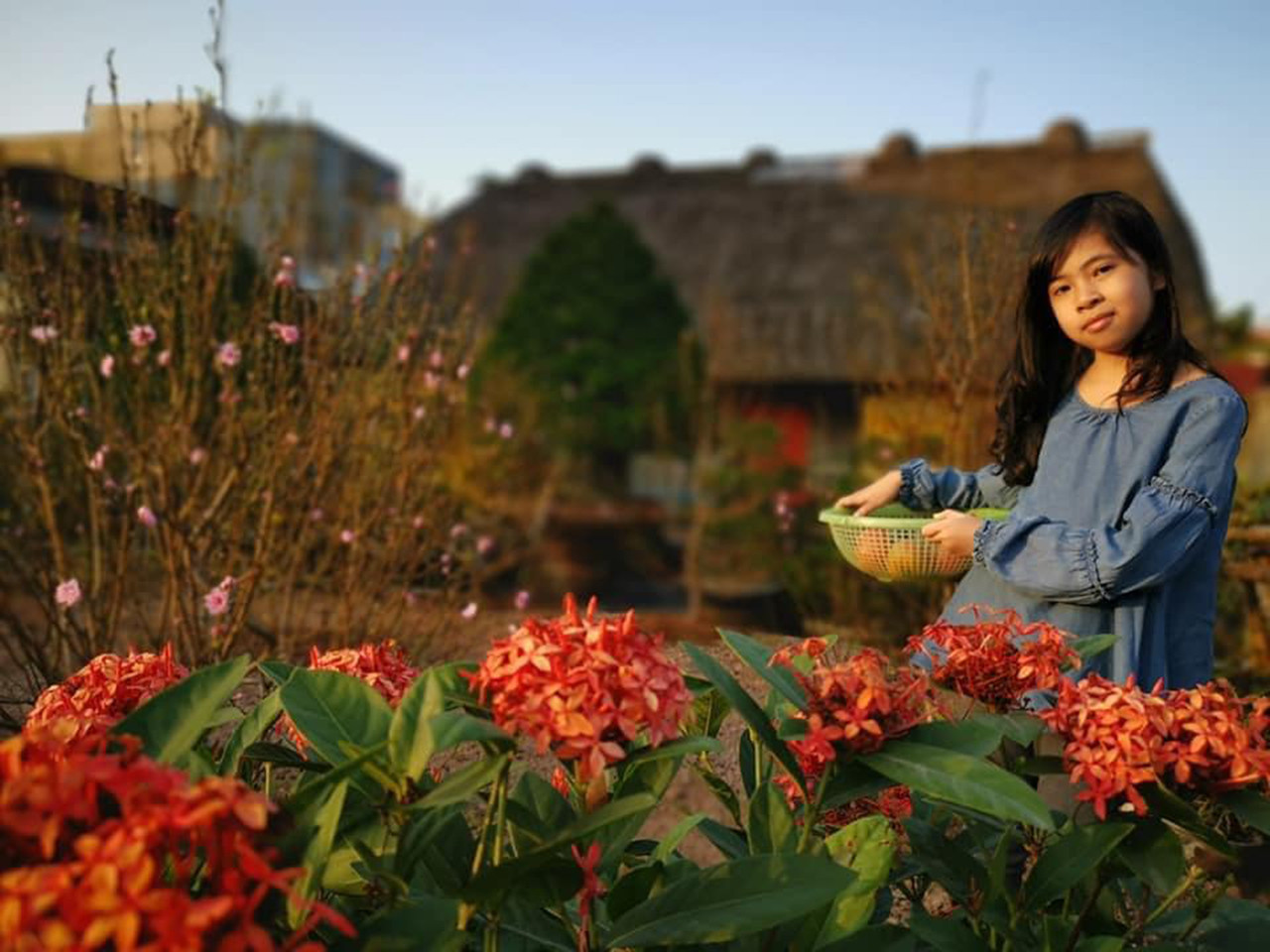 Những ngôi nhà mái rạ độc đáo, nguyên bản nét quê Bắc Bộ cuối cùng ở Nam Định - 25