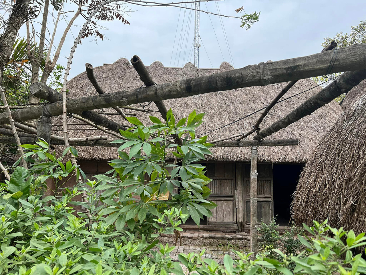 Những ngôi nhà mái rạ độc đáo, nguyên bản nét quê Bắc Bộ cuối cùng ở Nam Định - 11