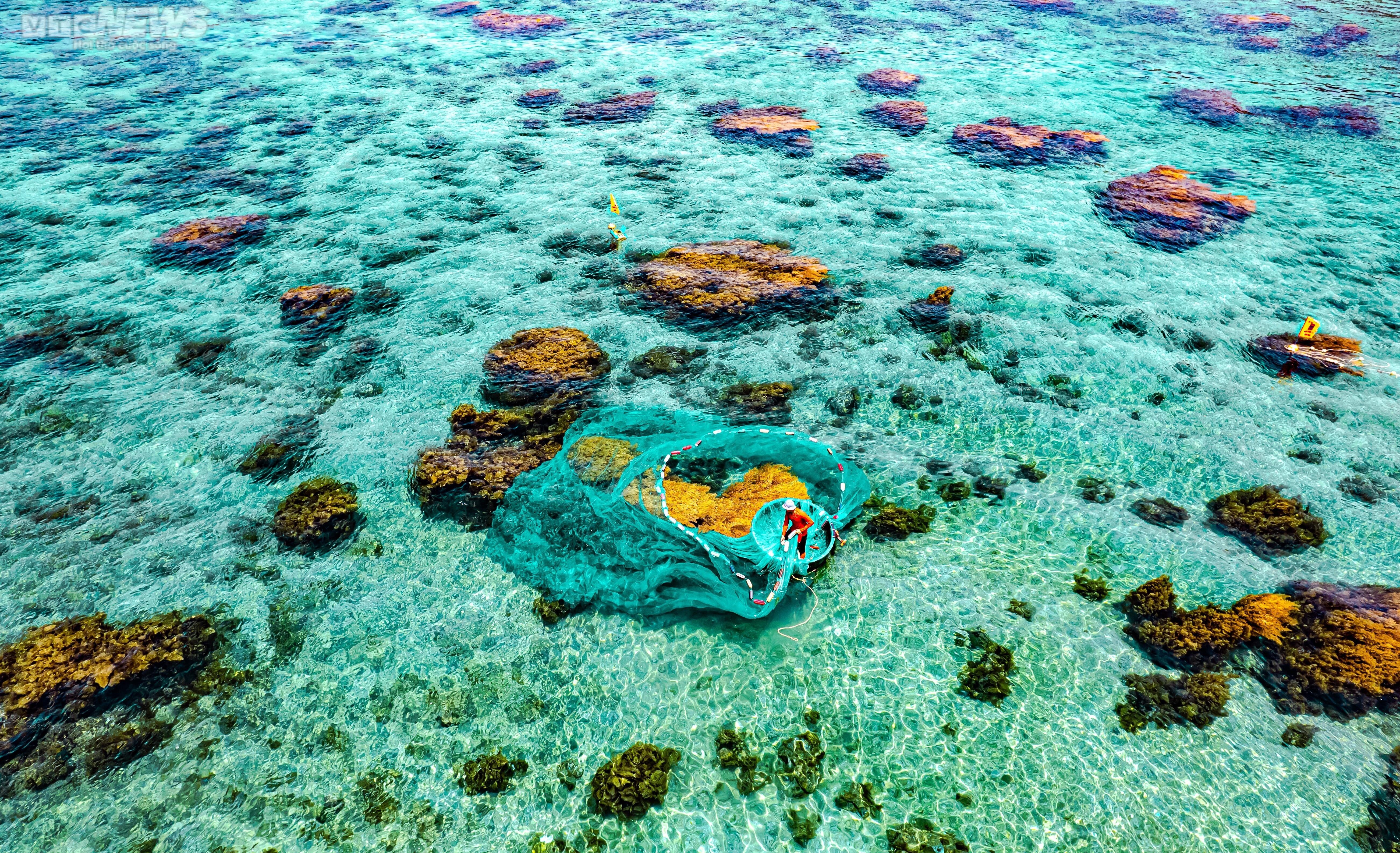 9 địa điểm đẹp như tranh vẽ ở Bình Định nhìn từ trên cao - 5