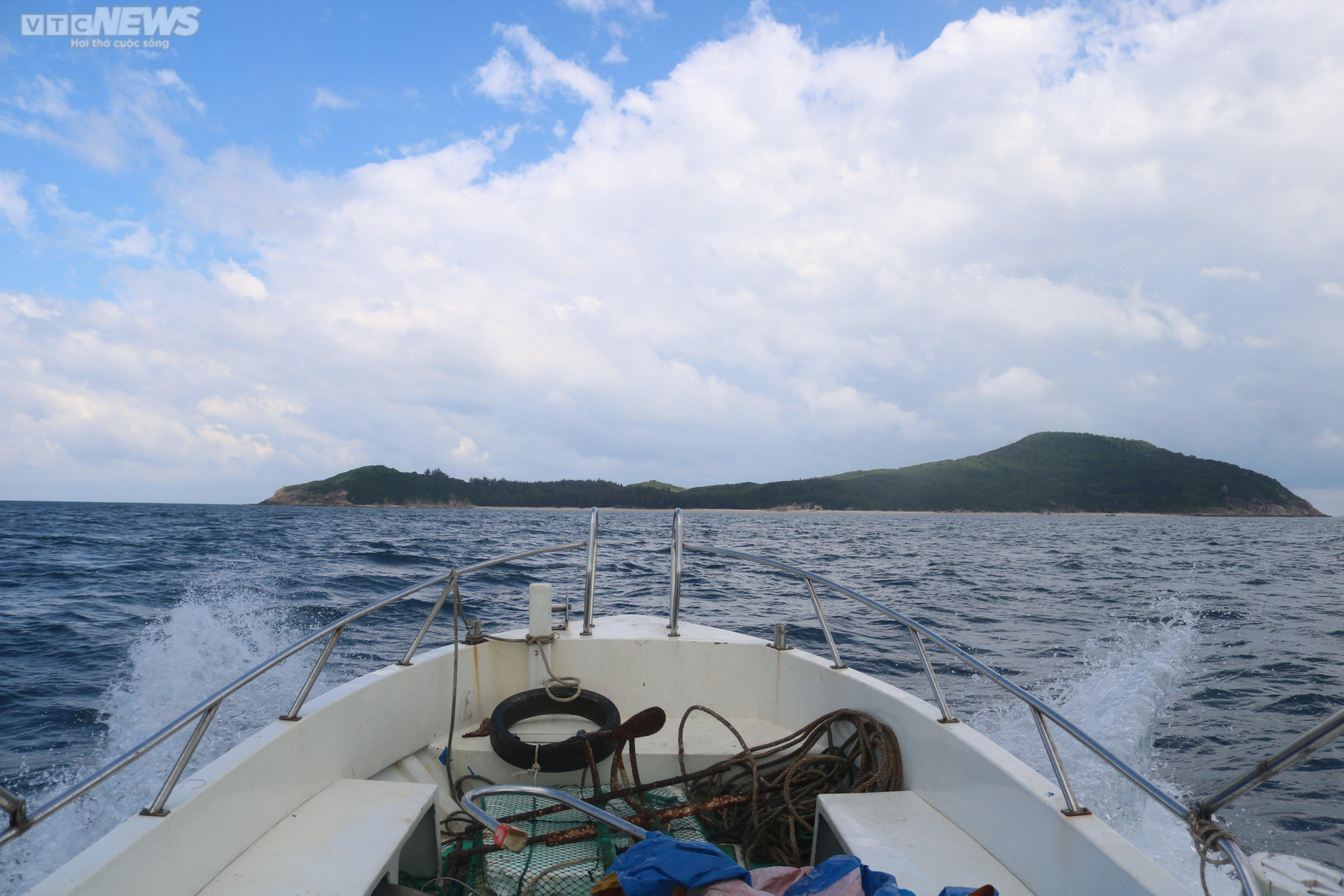 Vợ chồng già 25 cái Tết trên đảo cùng nhau - 4