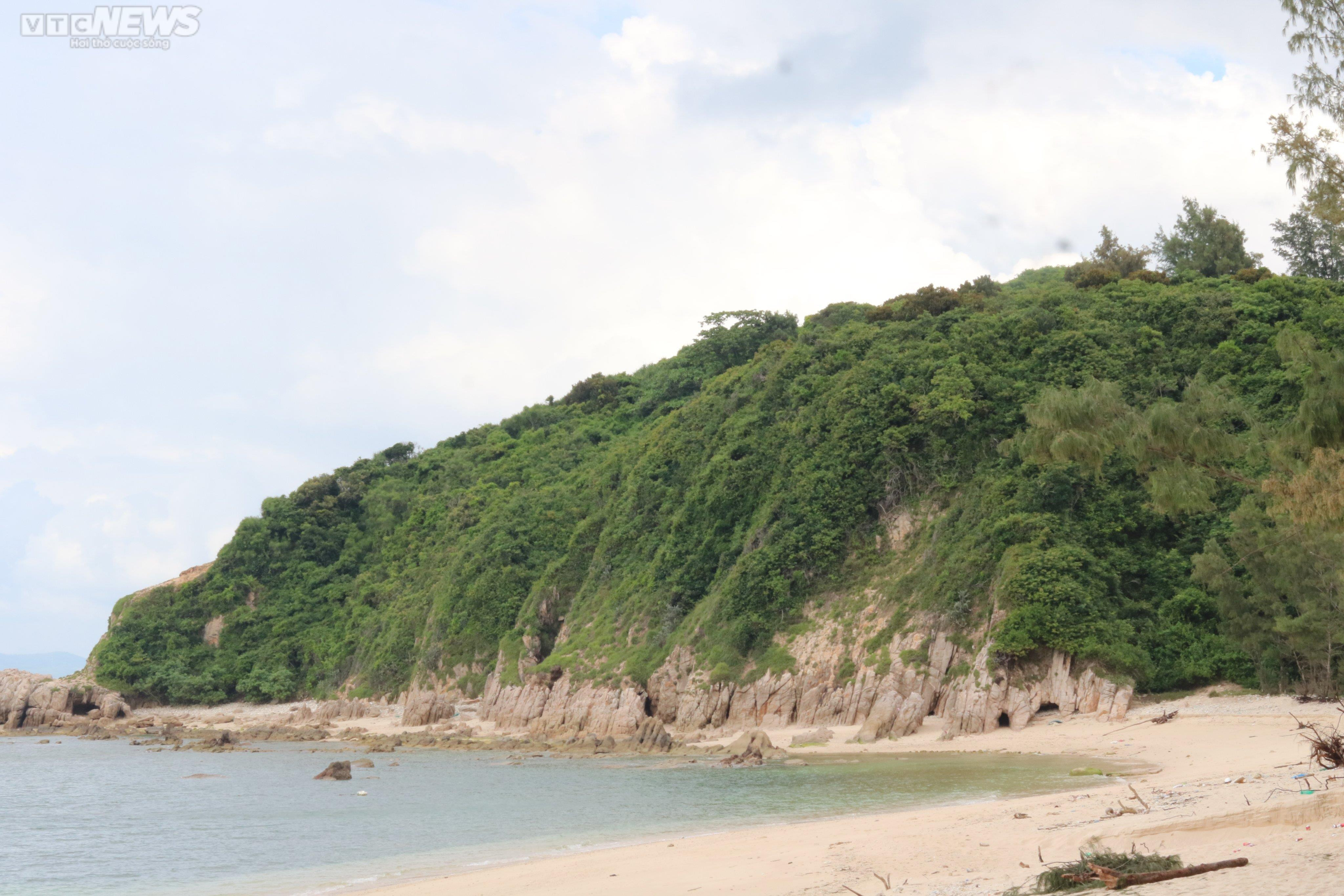 Vợ chồng già 25 cái Tết trên đảo cùng nhau - 2