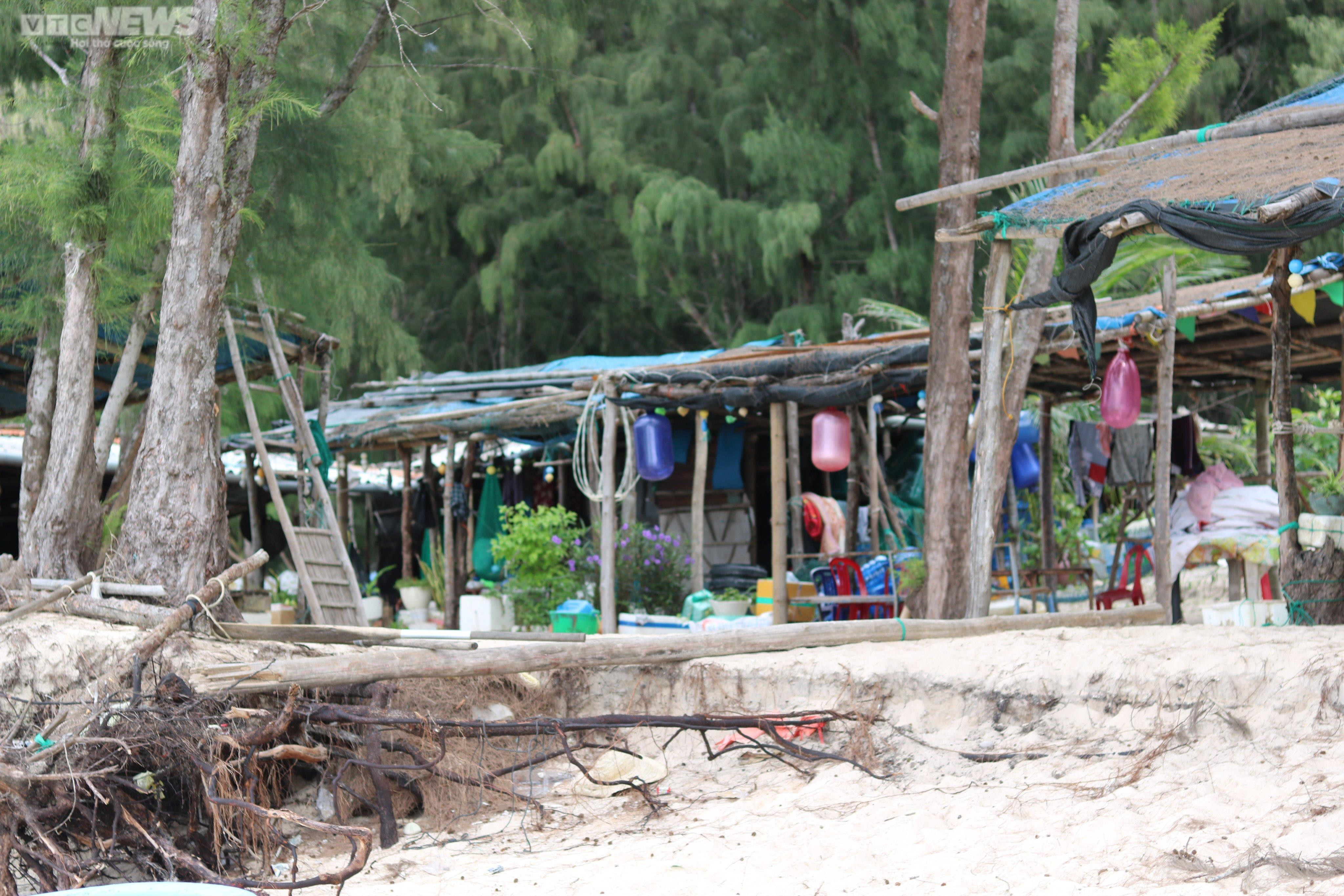 Vợ chồng già 25 cái Tết trên đảo cùng nhau - 1