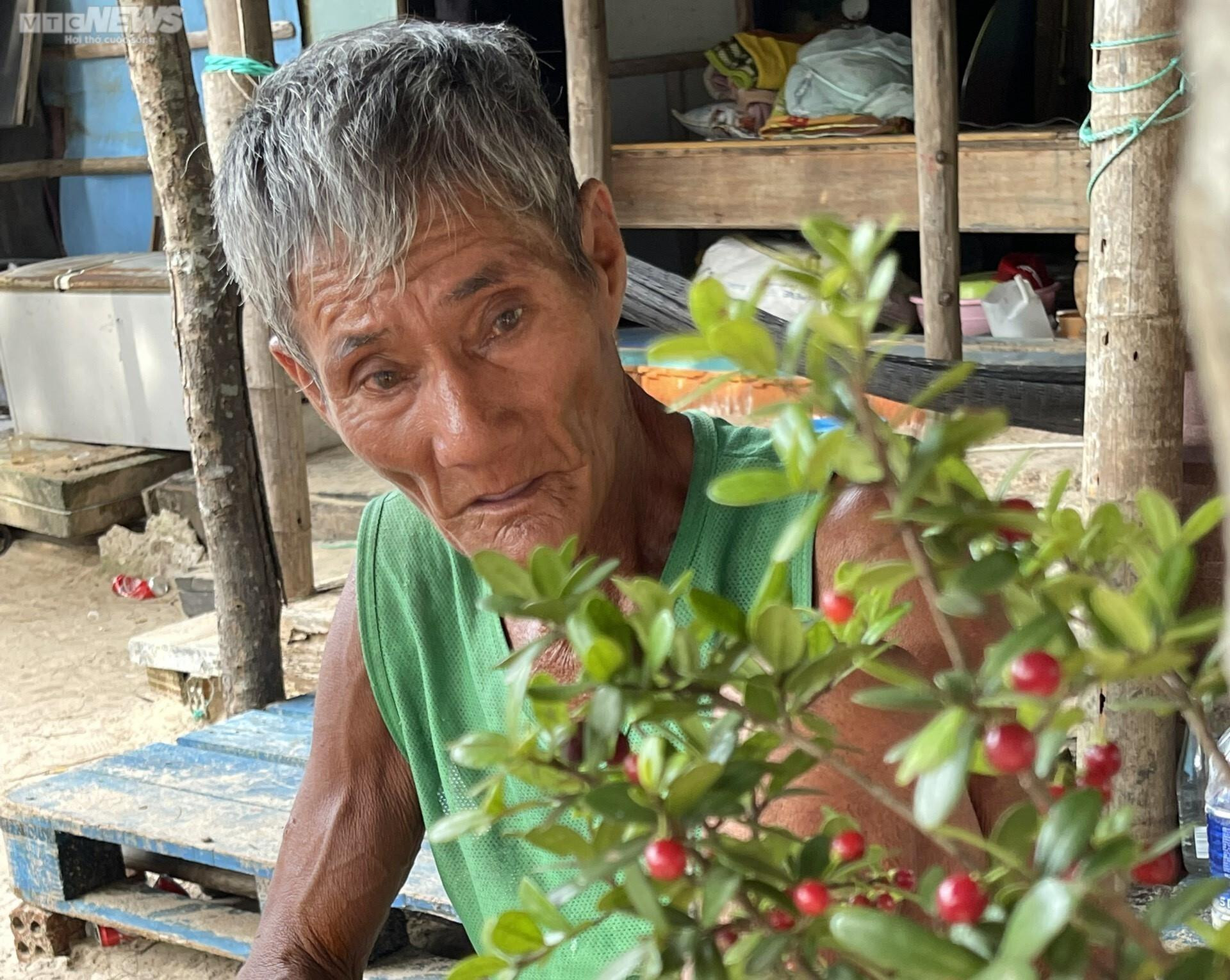 Vợ chồng già 25 cái Tết trên đảo cùng nhau - 5