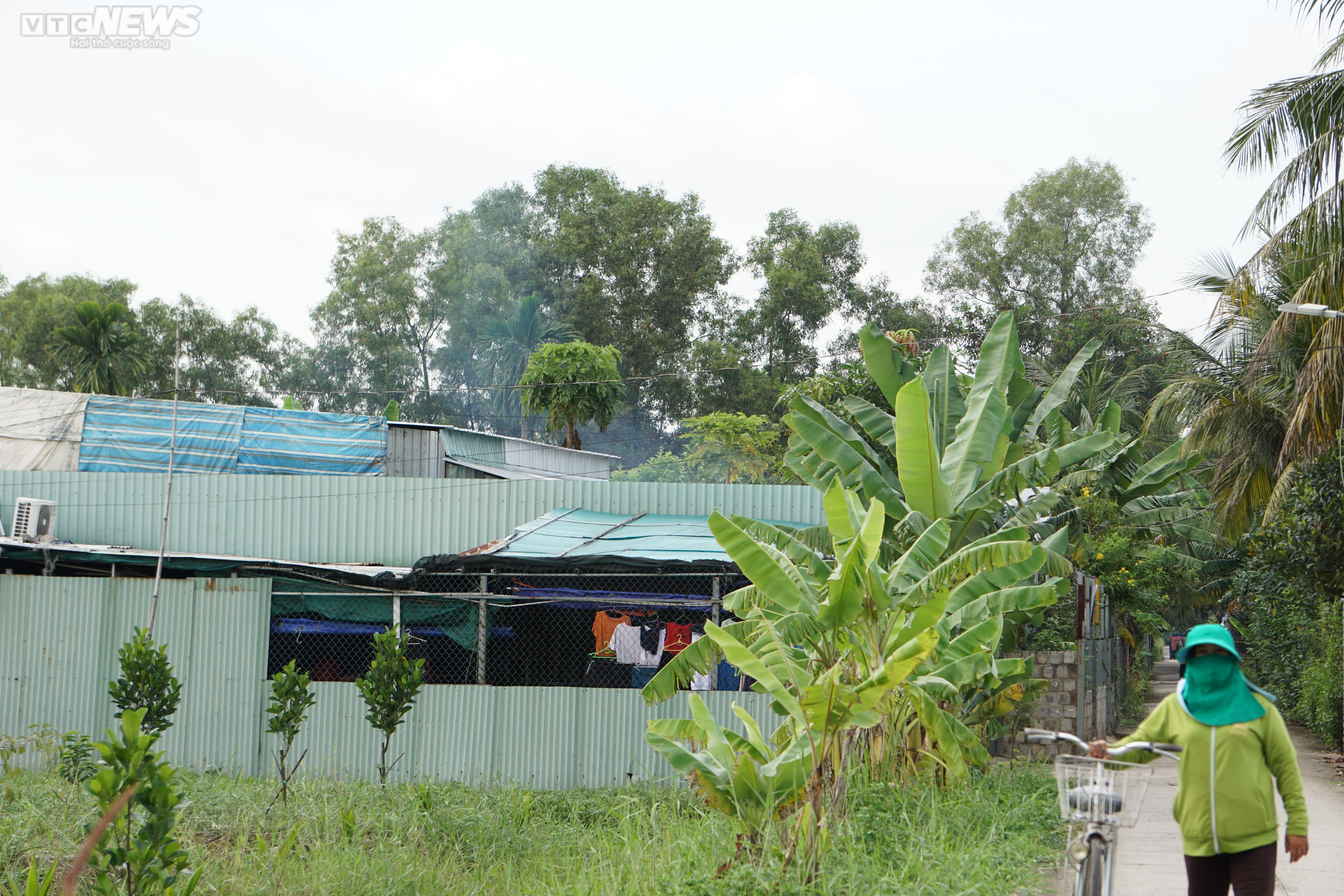 Một làng quê sống chậm giữa lòng TP.HCM náo nhiệt - 3